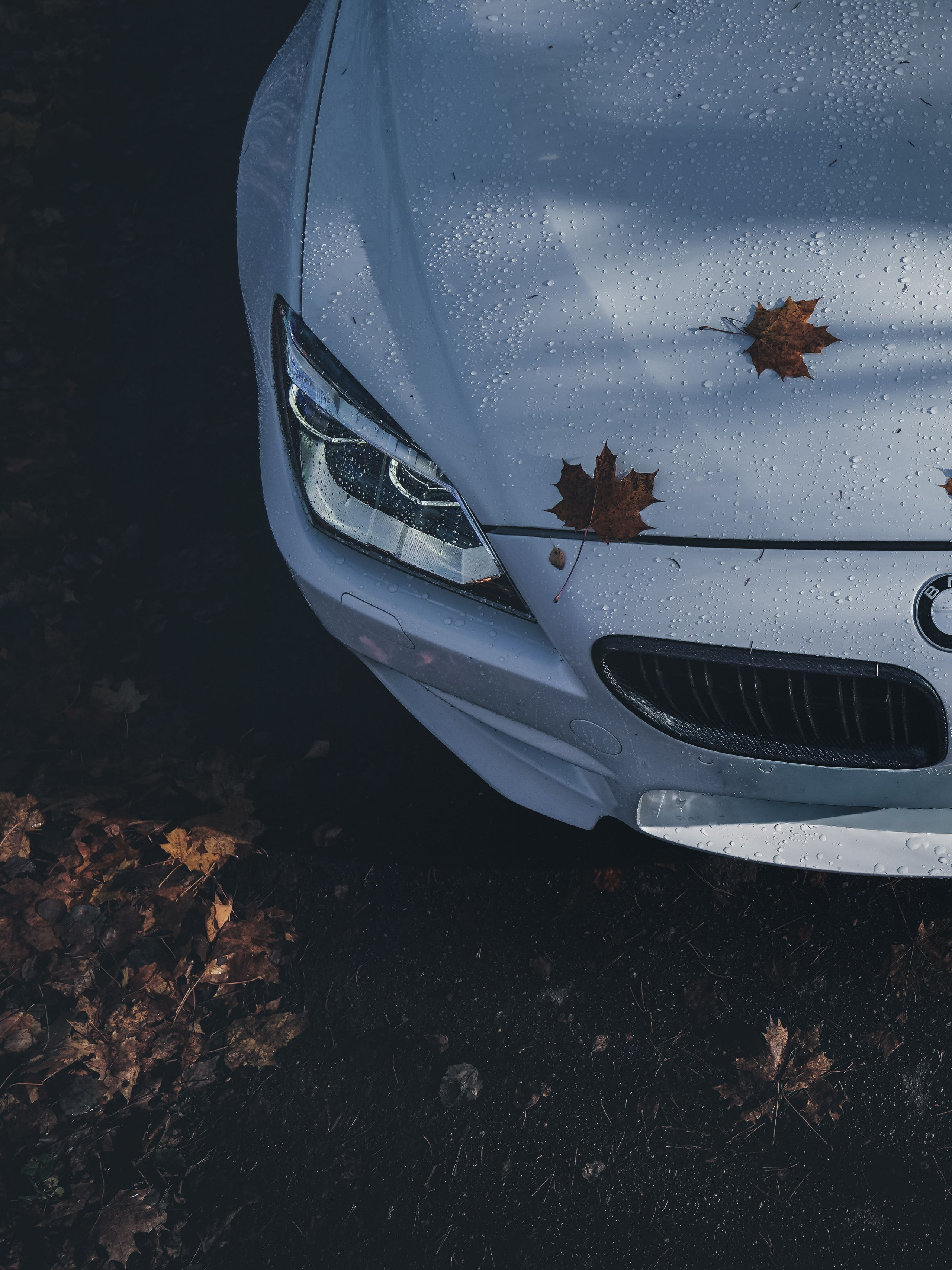 BMW M6 GRAN COUPE. Opasnophoto
