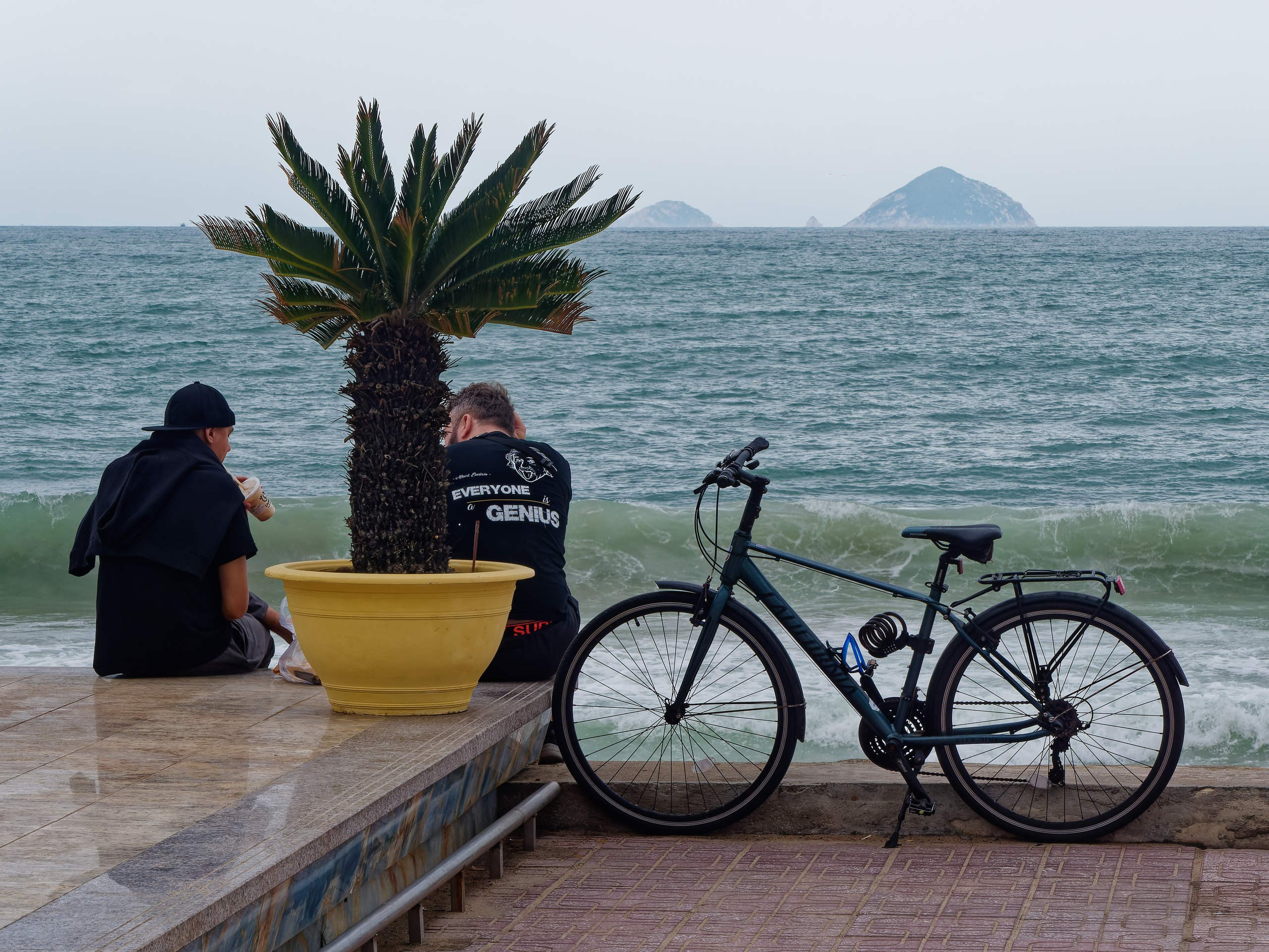 Нячанг 2025 (5). Избранные фотографии