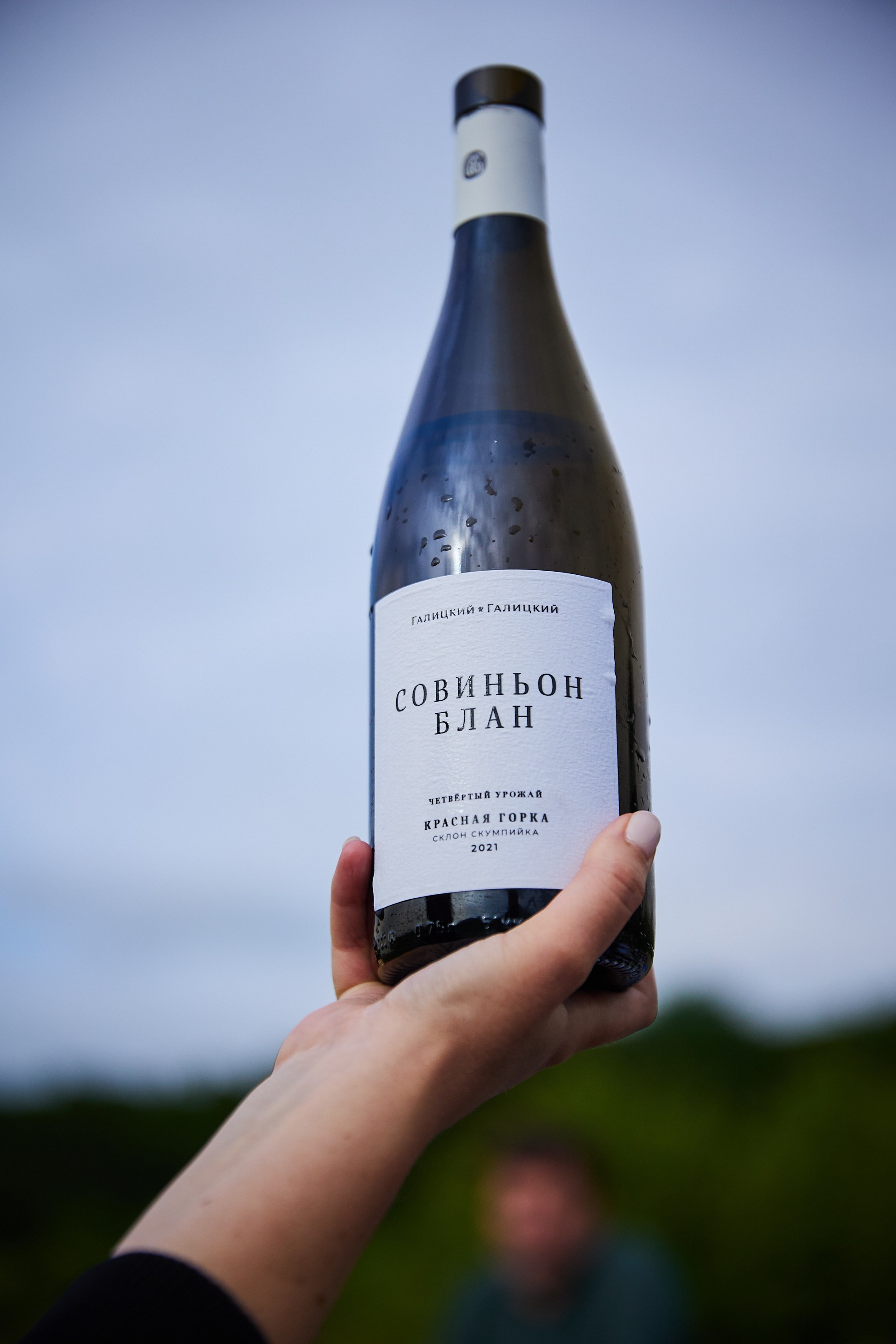 Galitsky & Galitsky. ПОЧЕМУ? СТУДИЯ