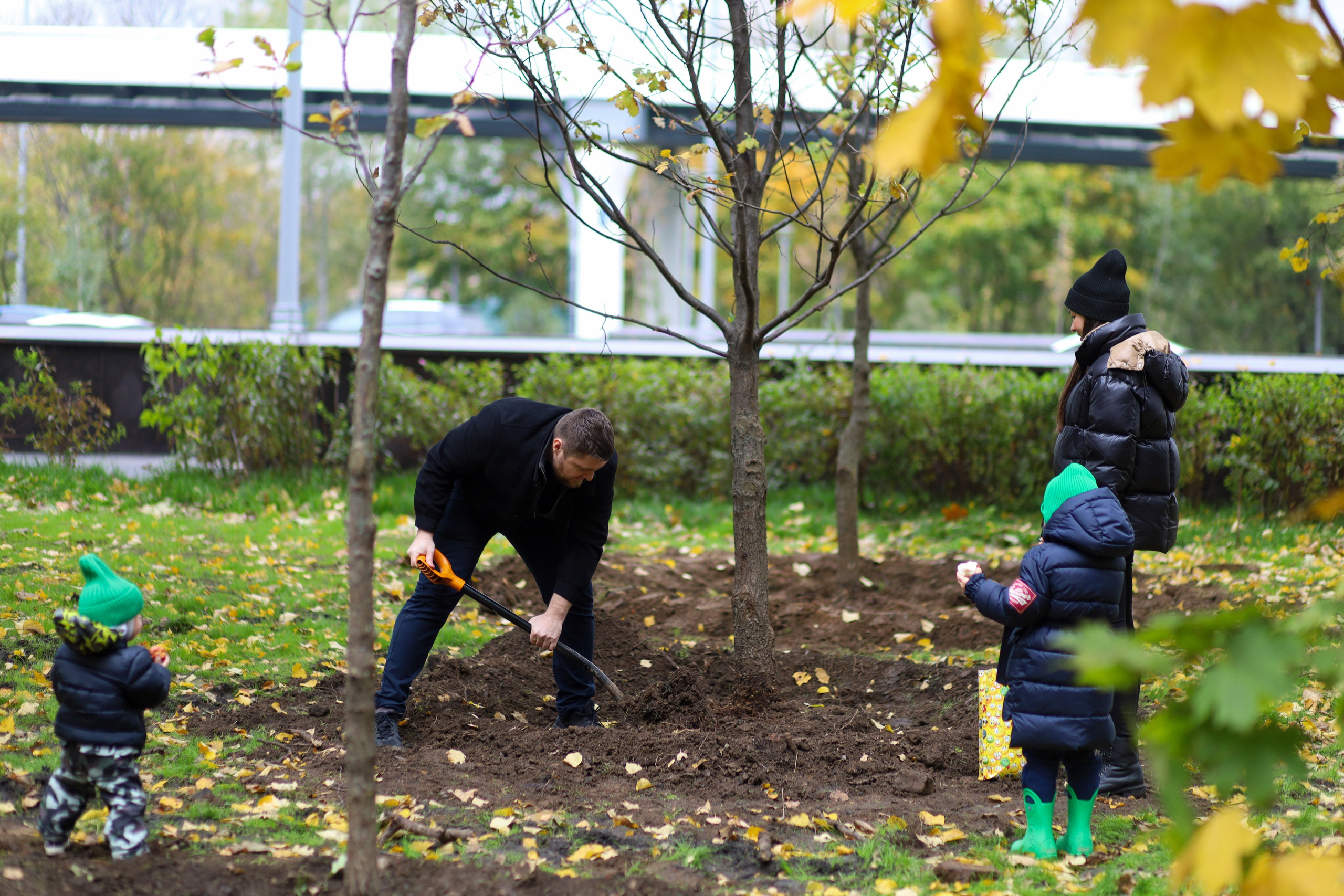 Семейное дерево. Главная
