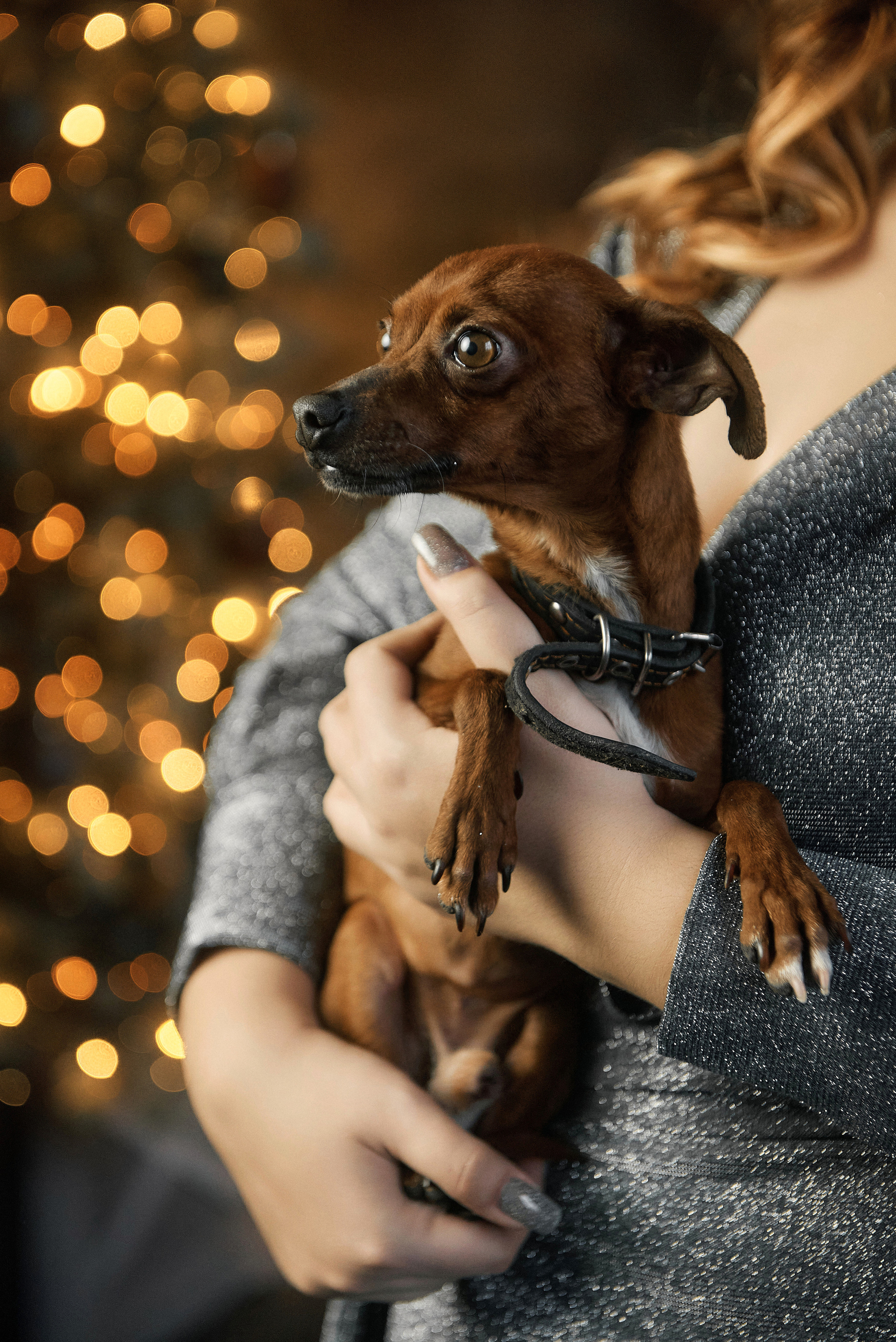 Слава, Яна, Илья, Богдан. Свадебный и семейный фотограф Петр Гатыло