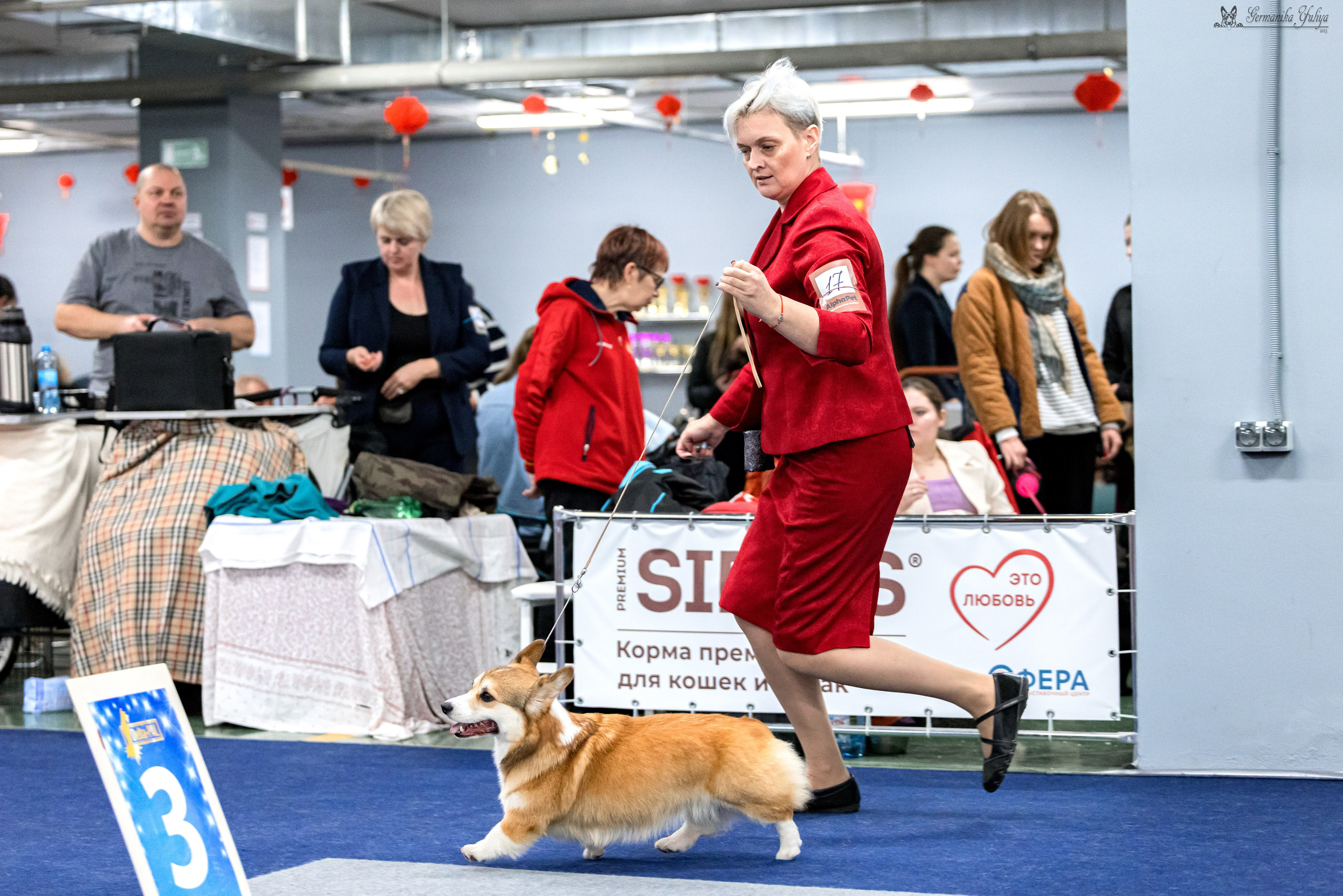 Сфера 29.10,Крокус 4.11,Сфера 12.11.2023. Фотограф-анималист Юлия Германика