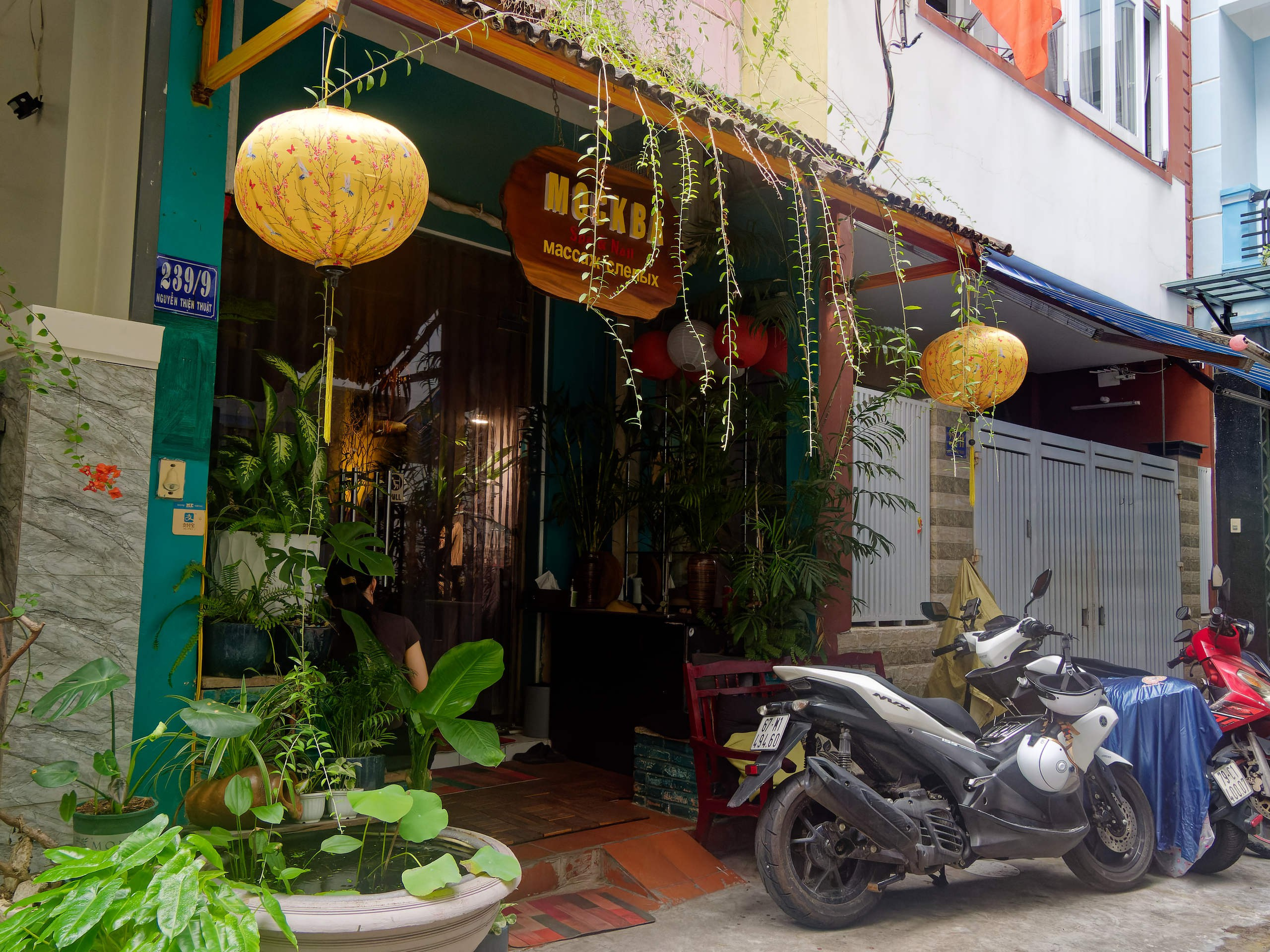 Нячанг 2025 (5). Избранные фотографии