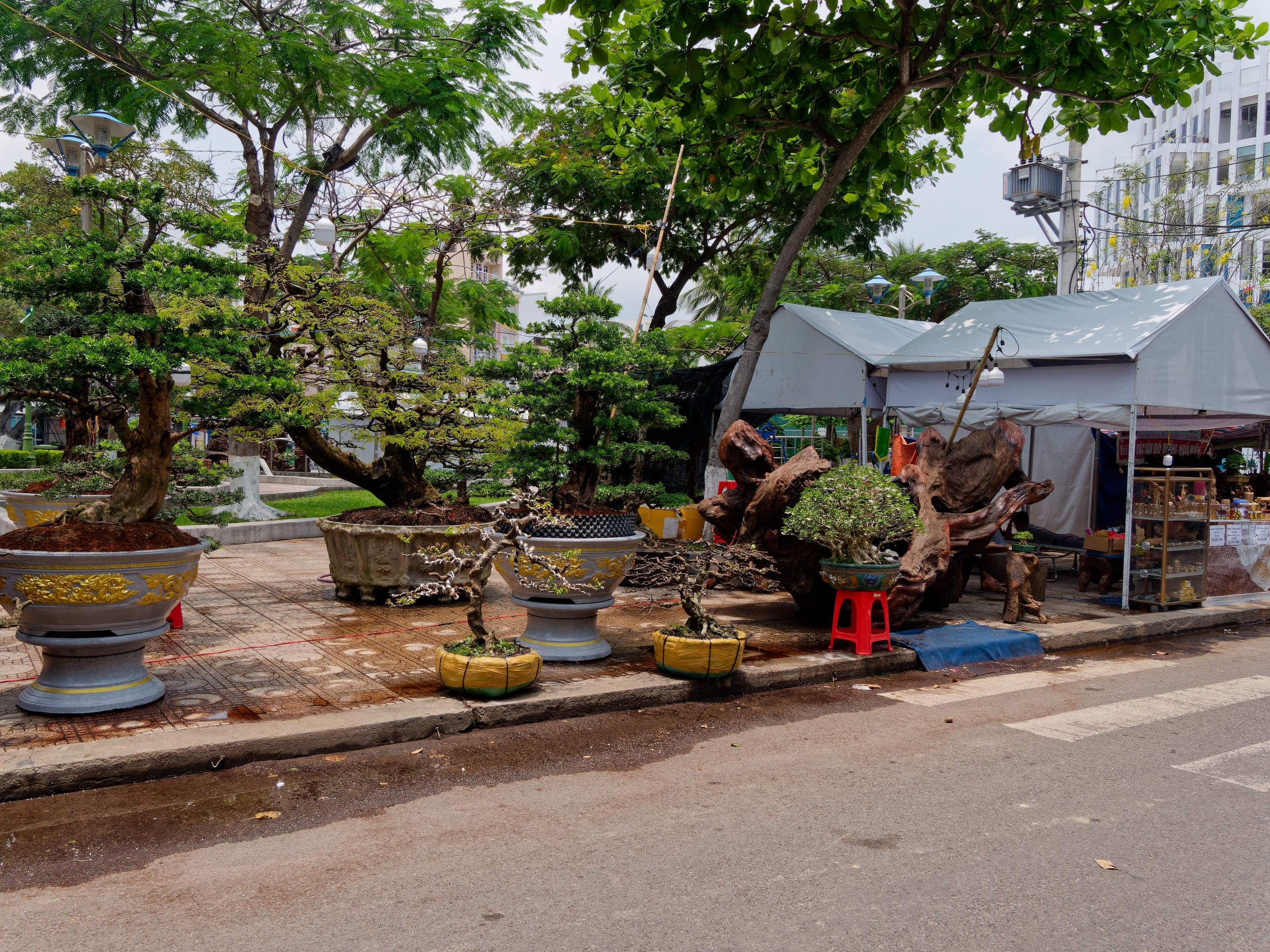 Нячанг 2025 (7). Избранные фотографии