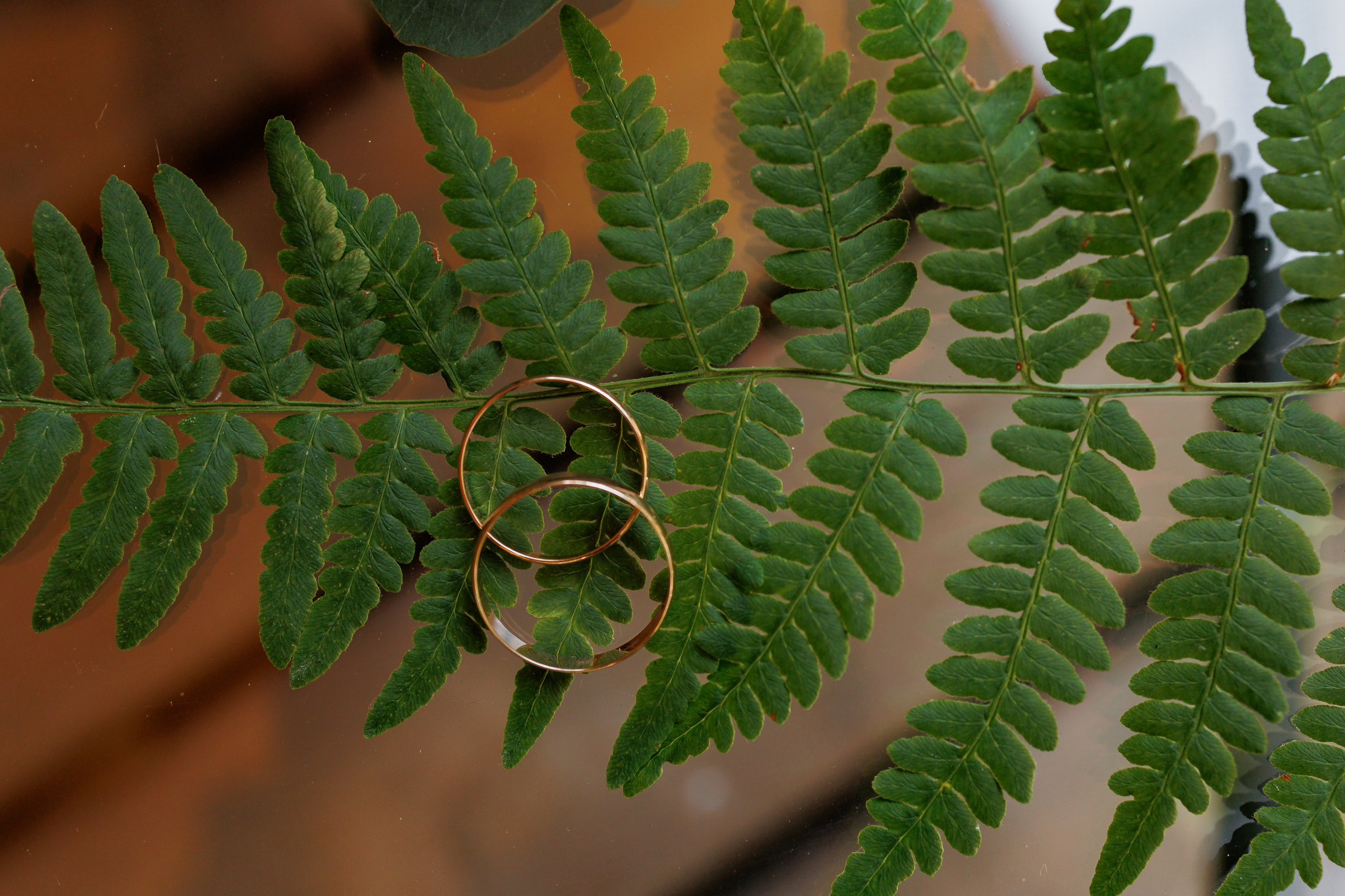 Запечатлейте любовь навсегда: профессиональная свадебная фотосъемка, которая расскажет вашу историю лучше слов.