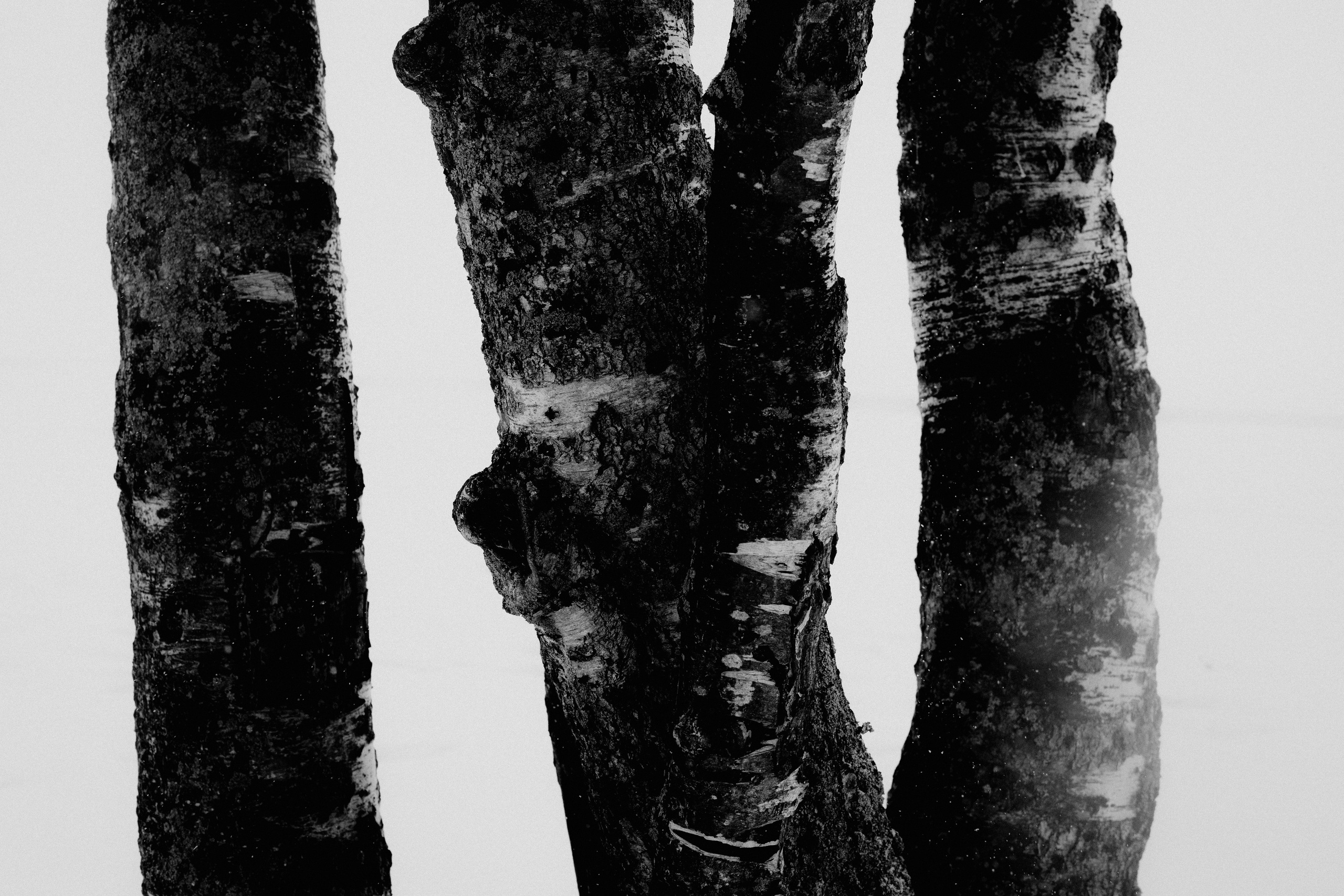 № 28. WAYHAY — Портретный фотограф