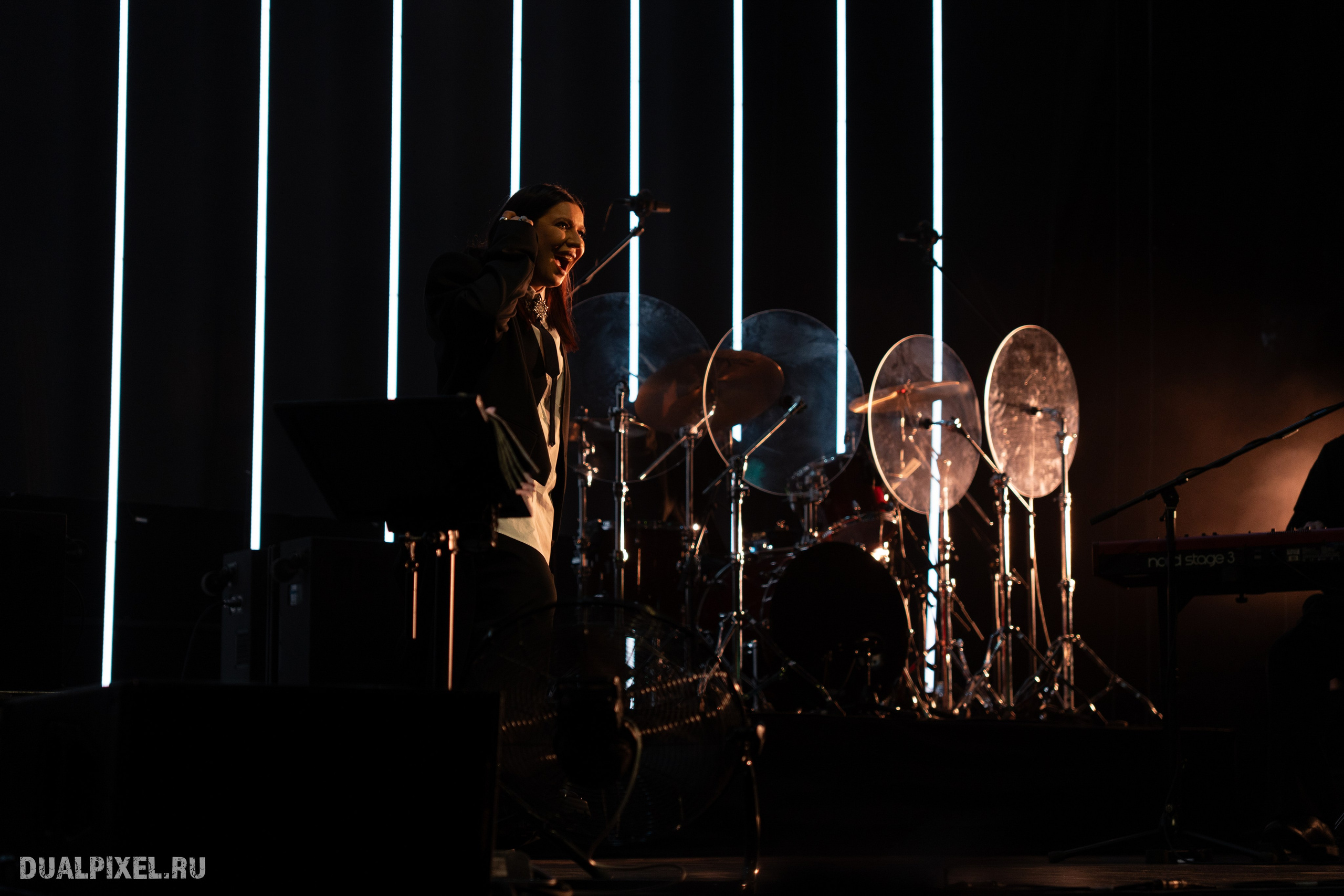 Елка. Магия музыки в кадре: Концертная Фотография