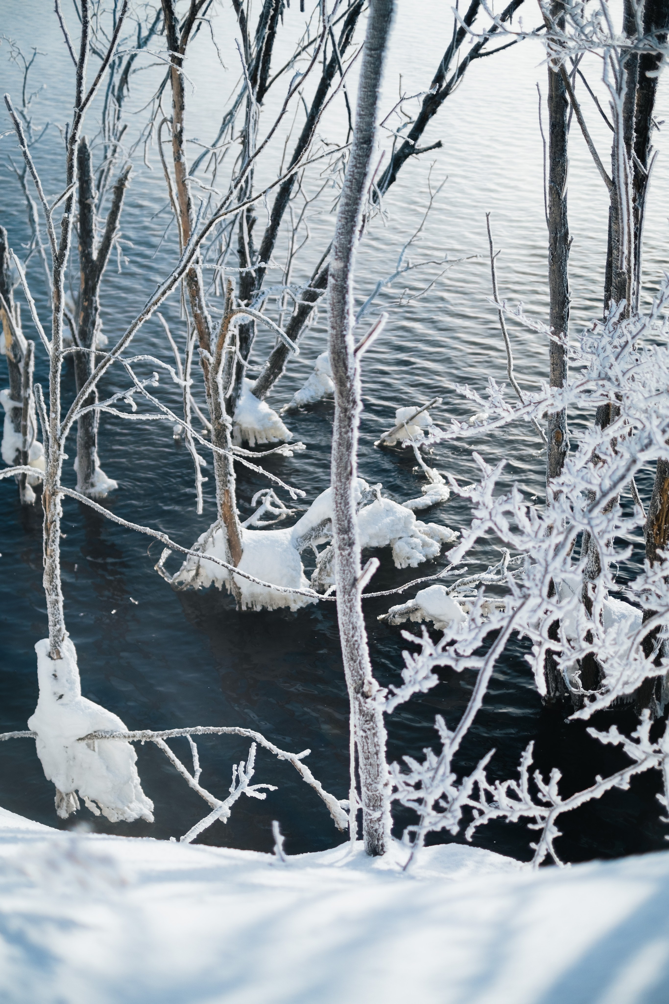 Курактачи. Фотограф Благовещенска Яна