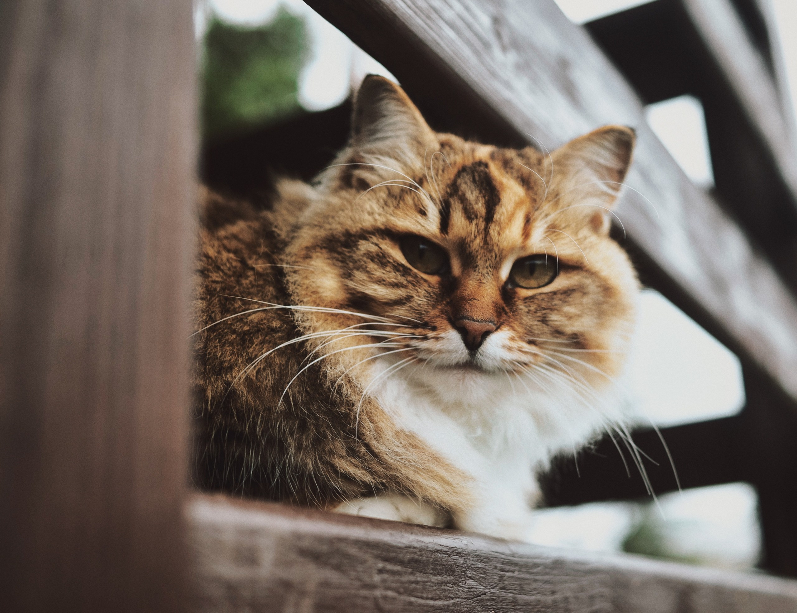 Фотосессии на заливе/на природе. May the numbers guide us