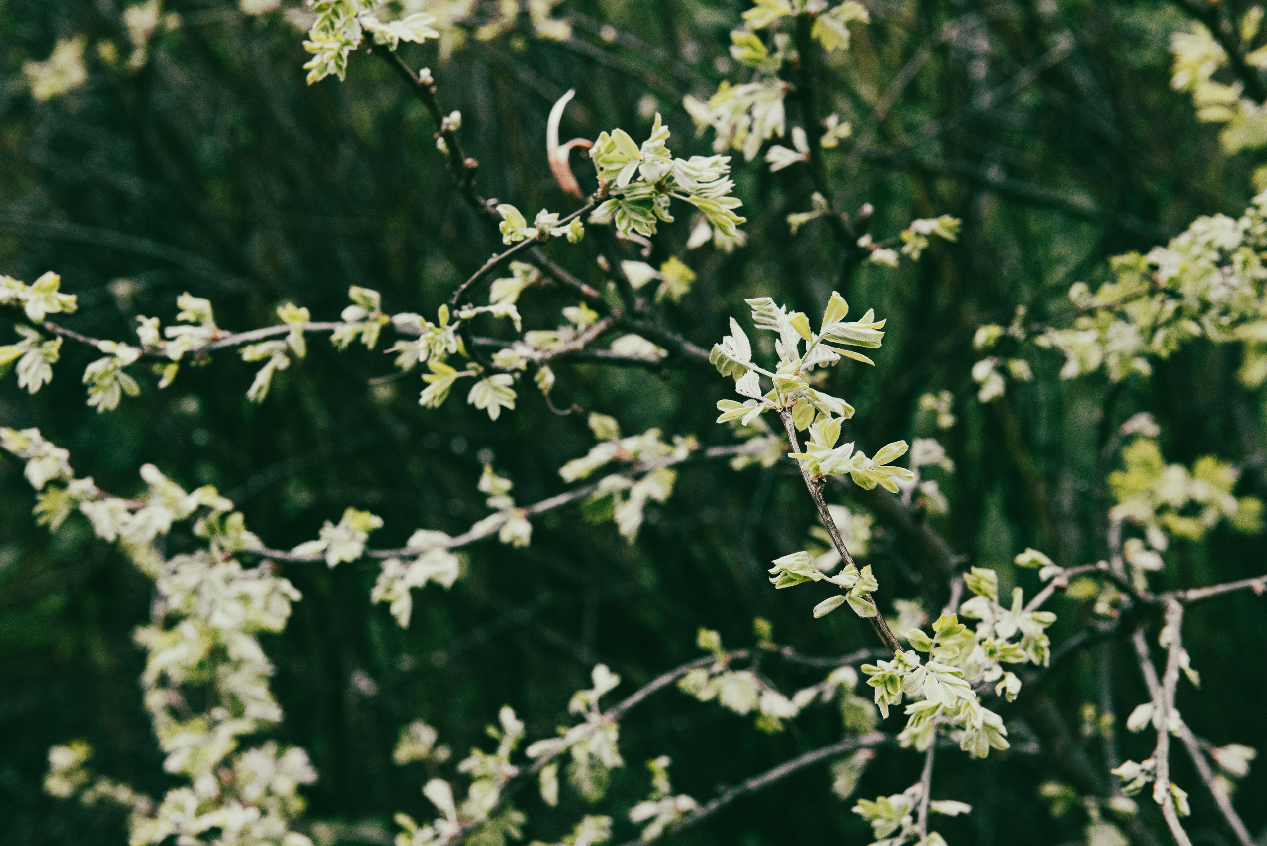 Текстуры апреля. Портретный и архитектурный фотограф в Москве и Санкт-Петербурге