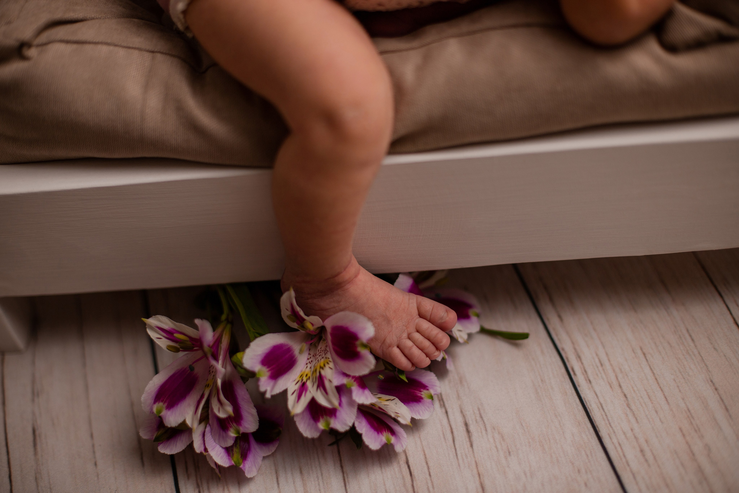 Ксения (10 денечков). Фотограф в Северском районе| г. Краснодар Алена Заливчая