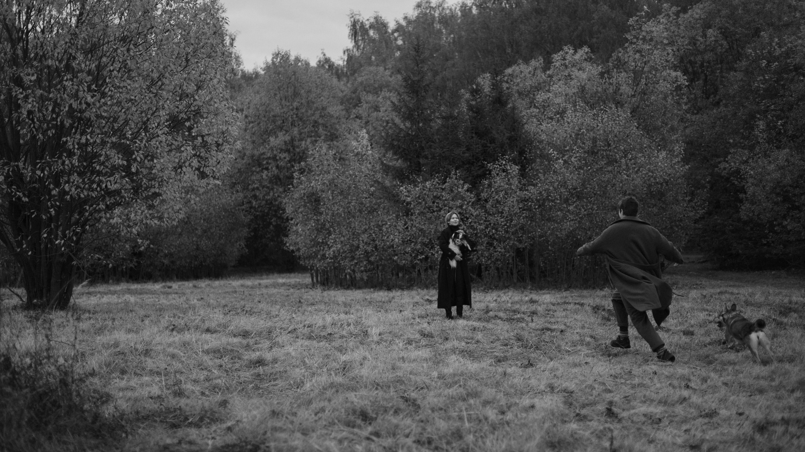 Маша, Катя, Астрид и Мася. Фотограф-анималист Богданова Полина