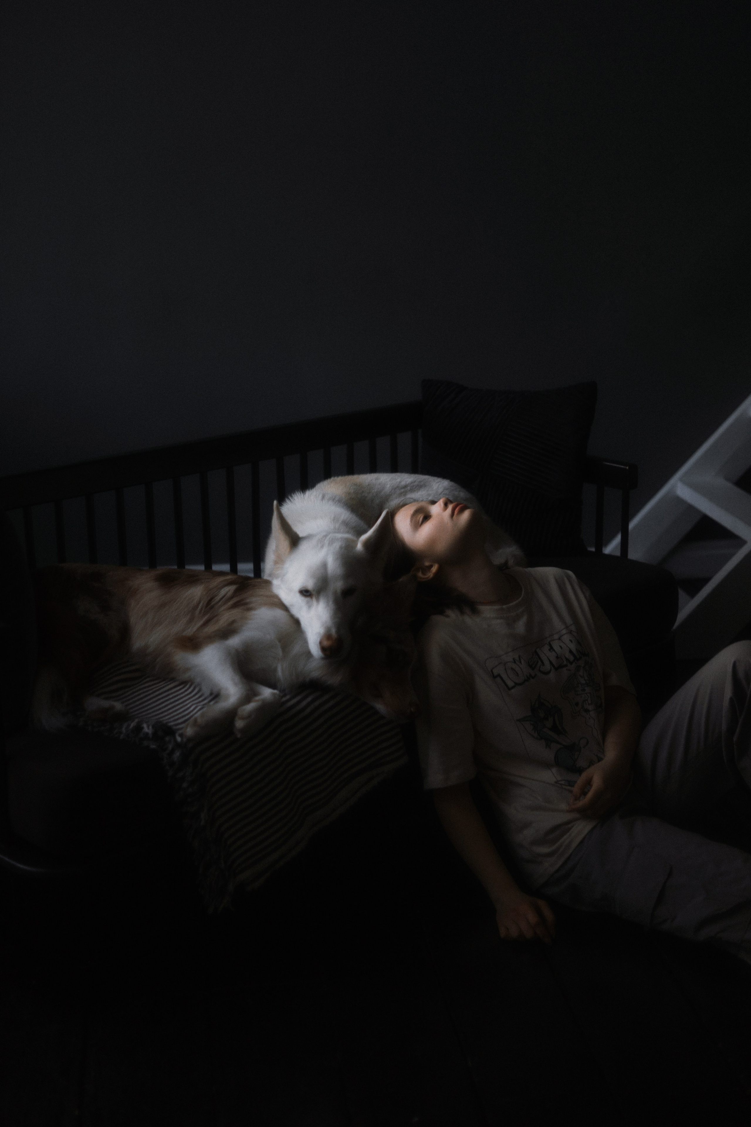 Аня, Дэймон и Грэй. Фотограф-анималист Богданова Полина