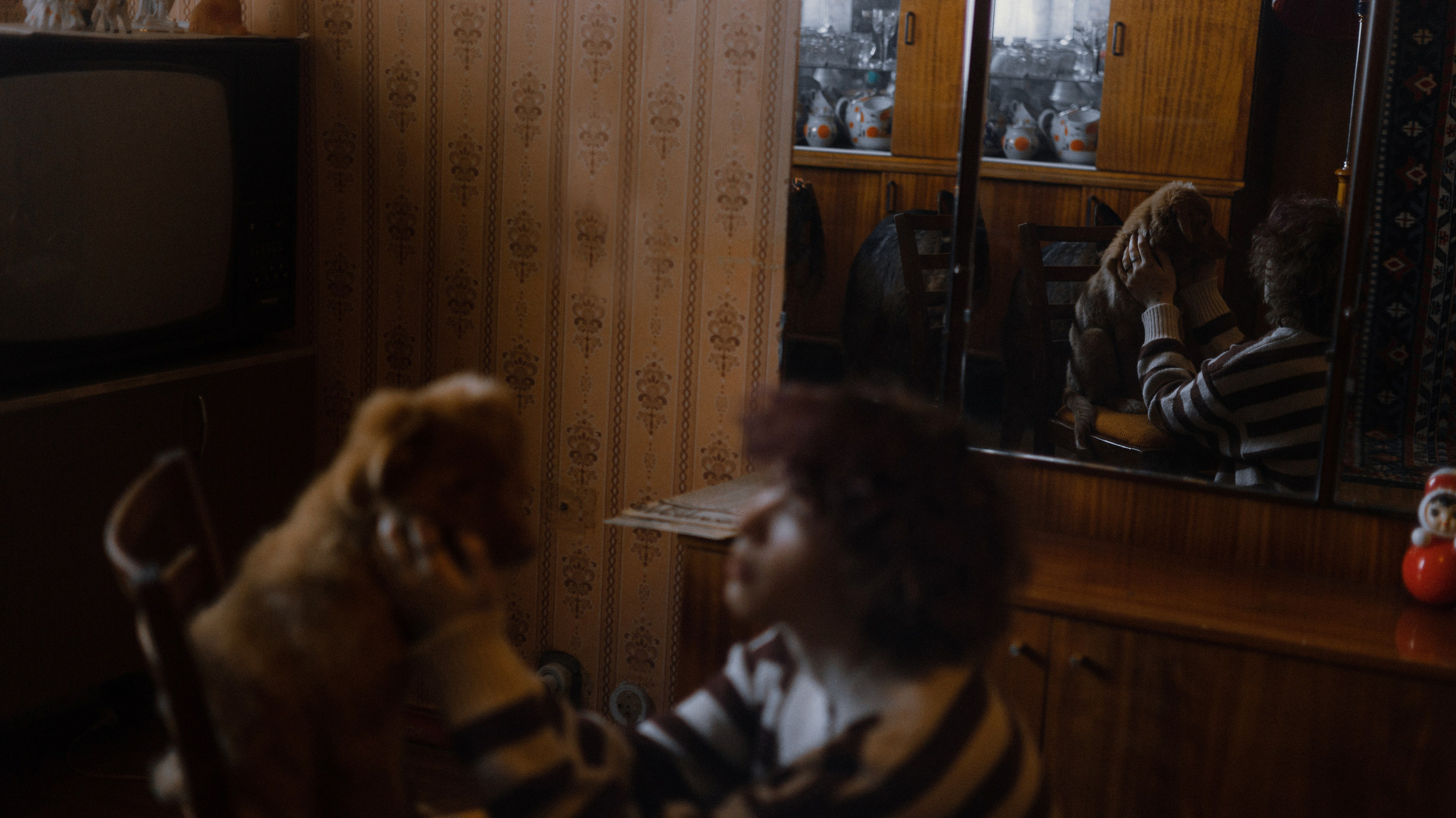 Лера, Реджи и Ральф. Фотограф-анималист Богданова Полина