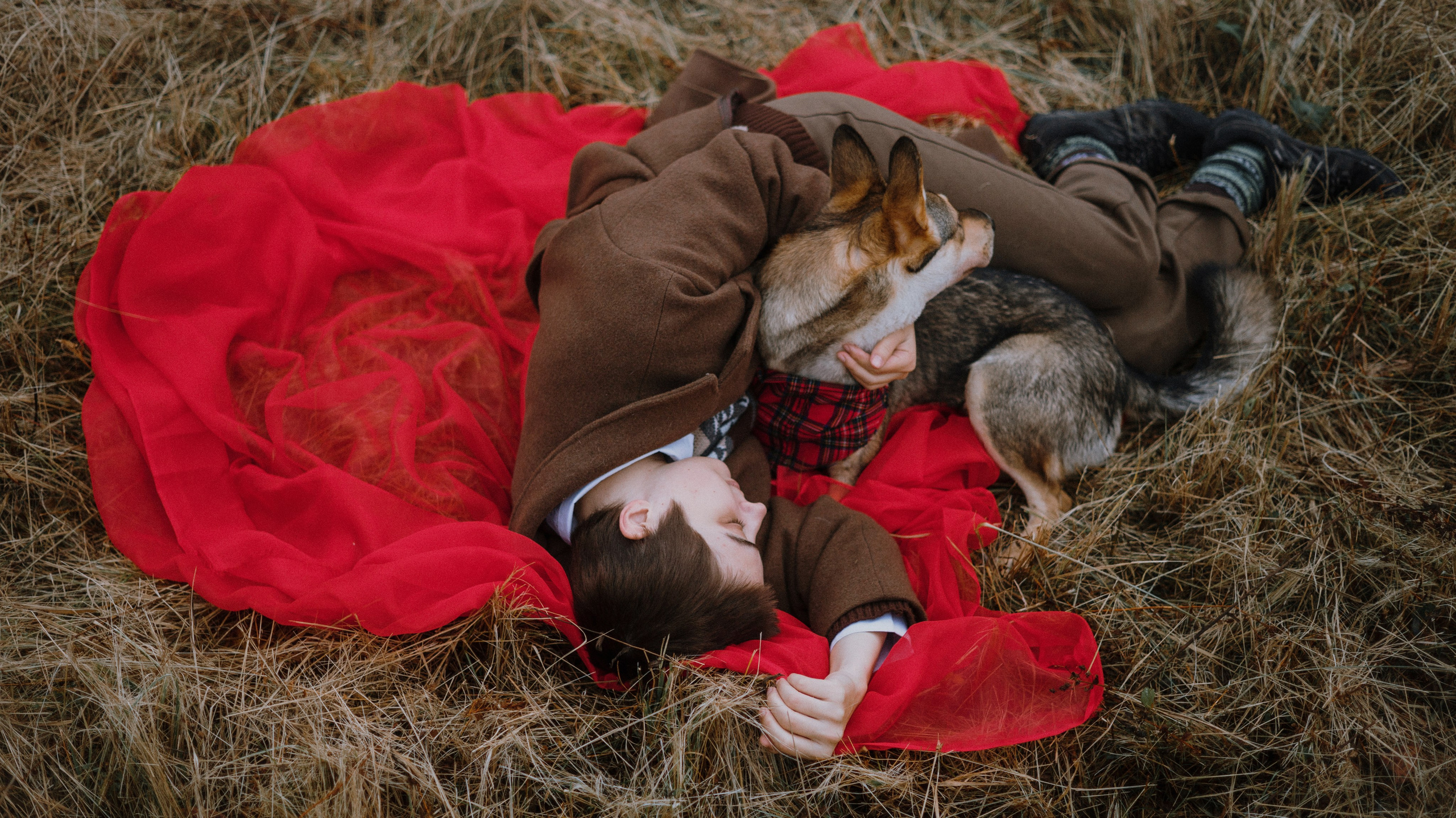 Маша, Катя, Астрид и Мася. Фотограф-анималист Богданова Полина