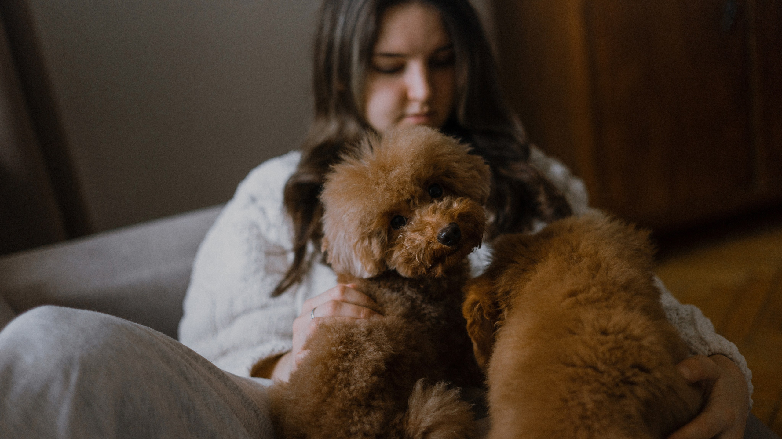 Маша, Одди и Нэвил. Фотограф-анималист Богданова Полина