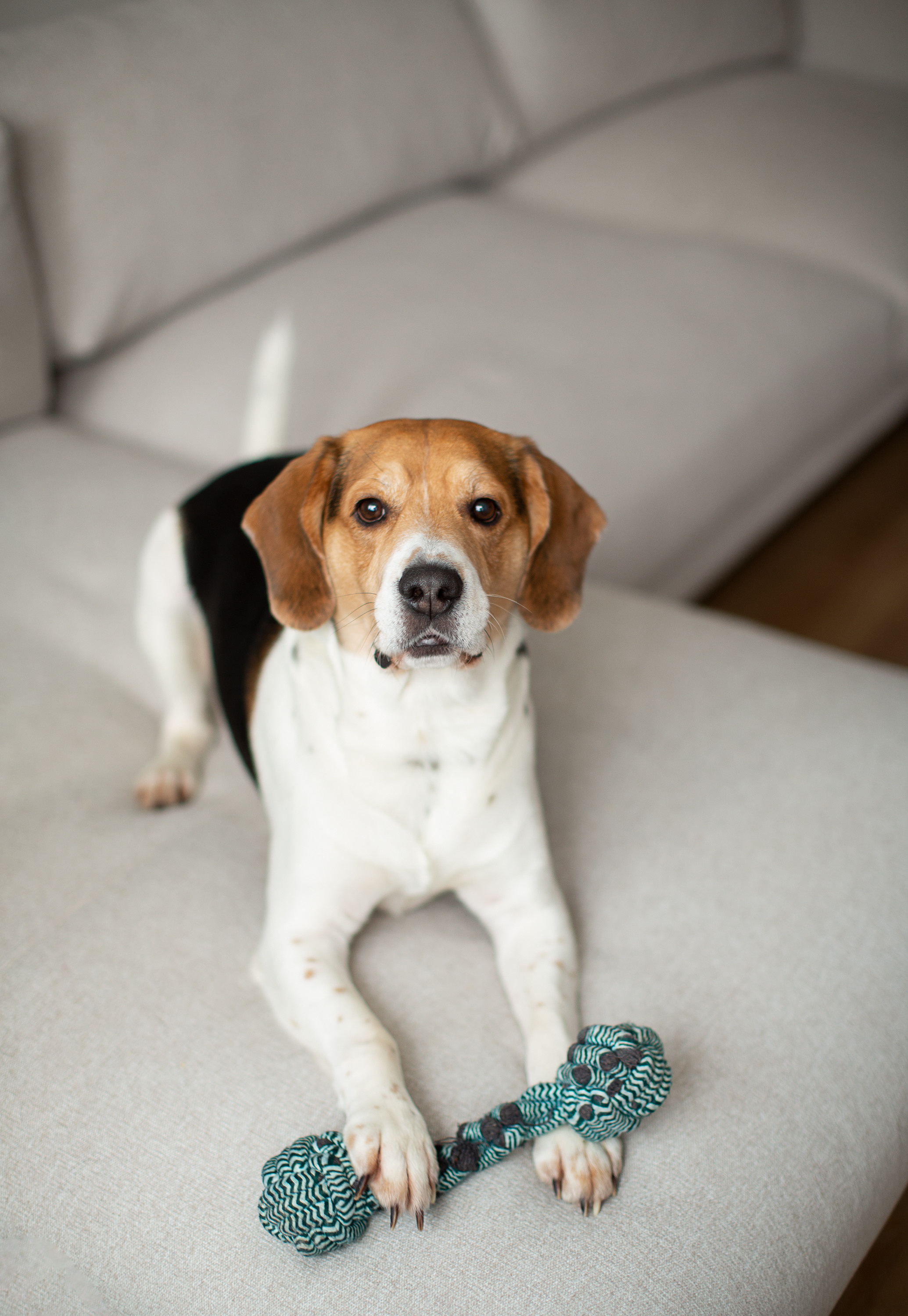 Контент для Евгении. Фотограф Якимова Евгения