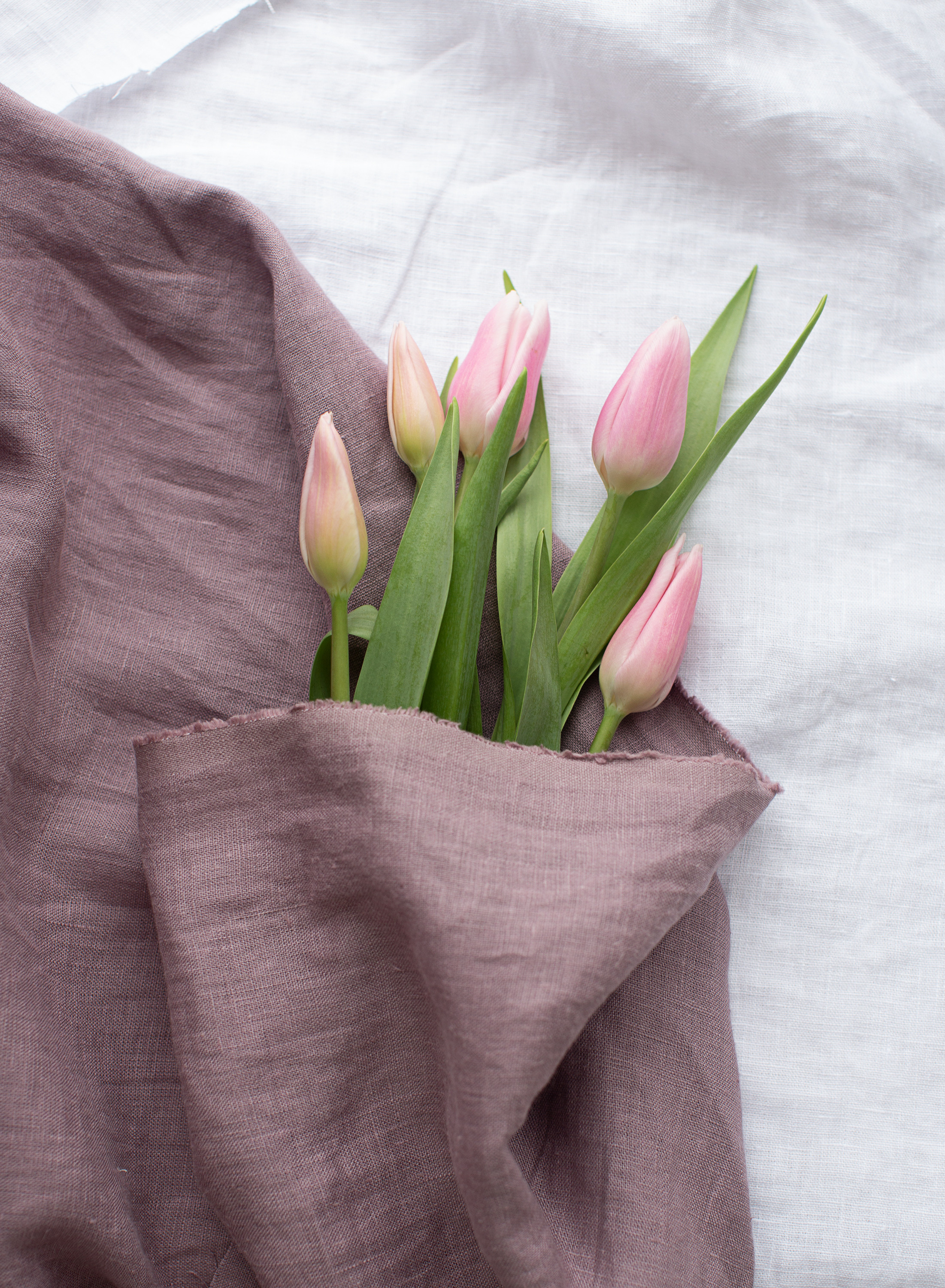 Съемка для бренда детской одежды. Фотограф Якимова Евгения