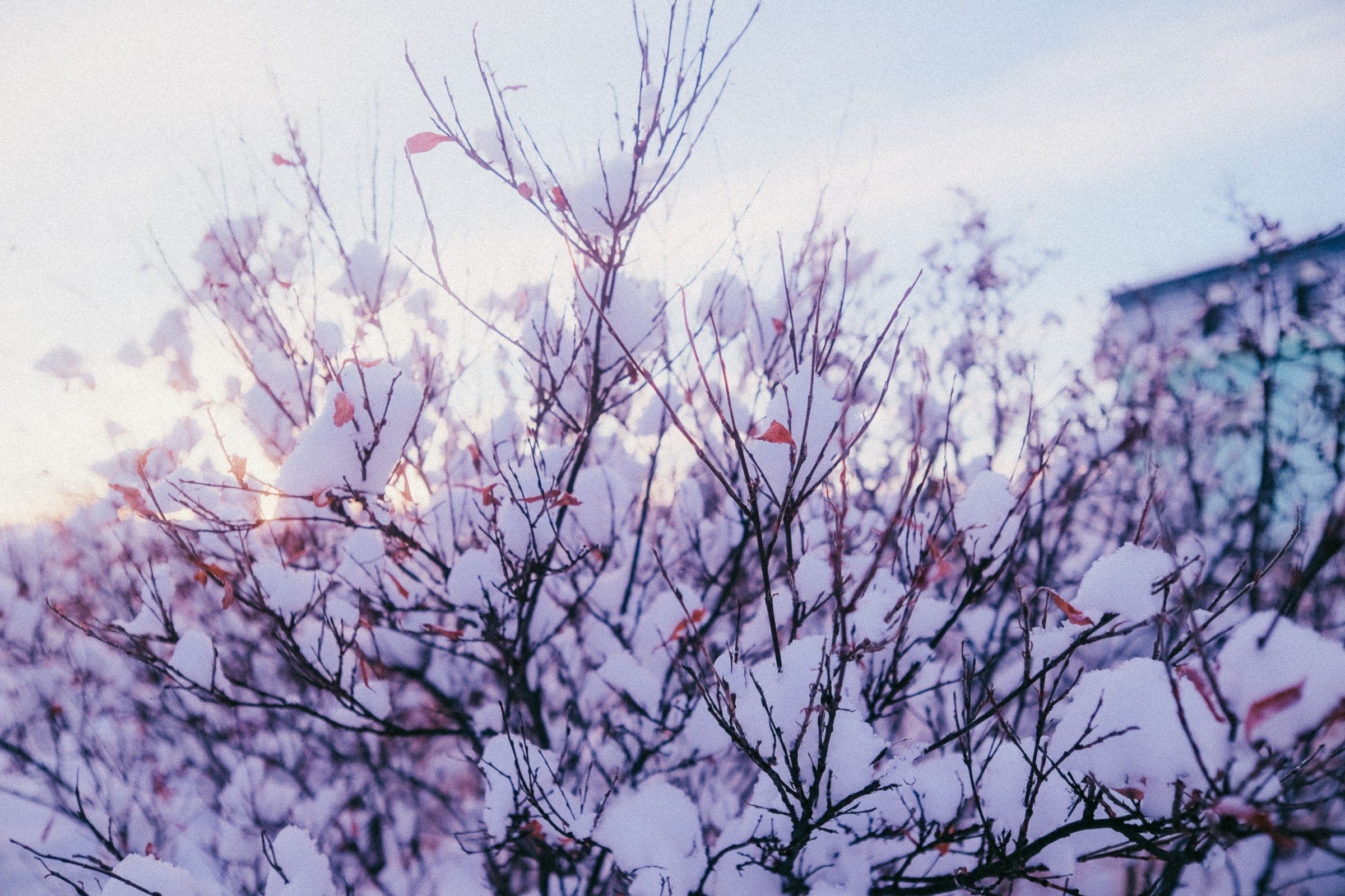 Пейзажи. Фотография и видео г. Анадырь Ильнур Шакиров