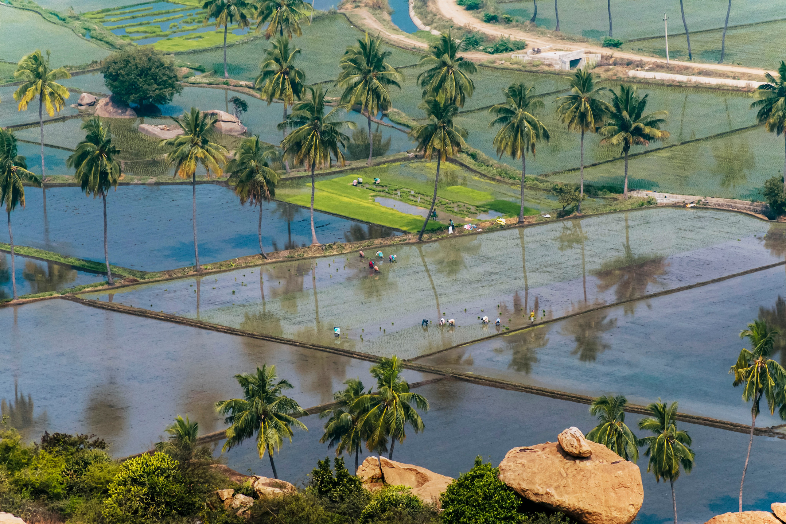 Хампи стрит фото. Iraogo