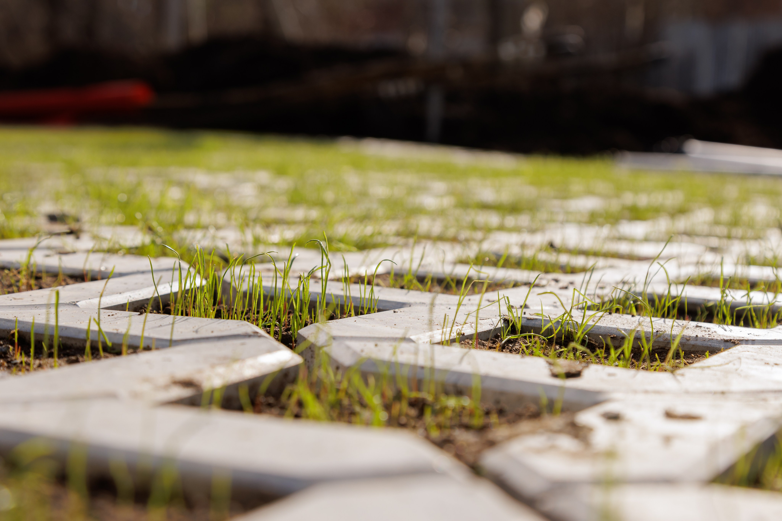 Строительная компания ТехноНЕО. Фотограф Антон Клейнос, Владивосток