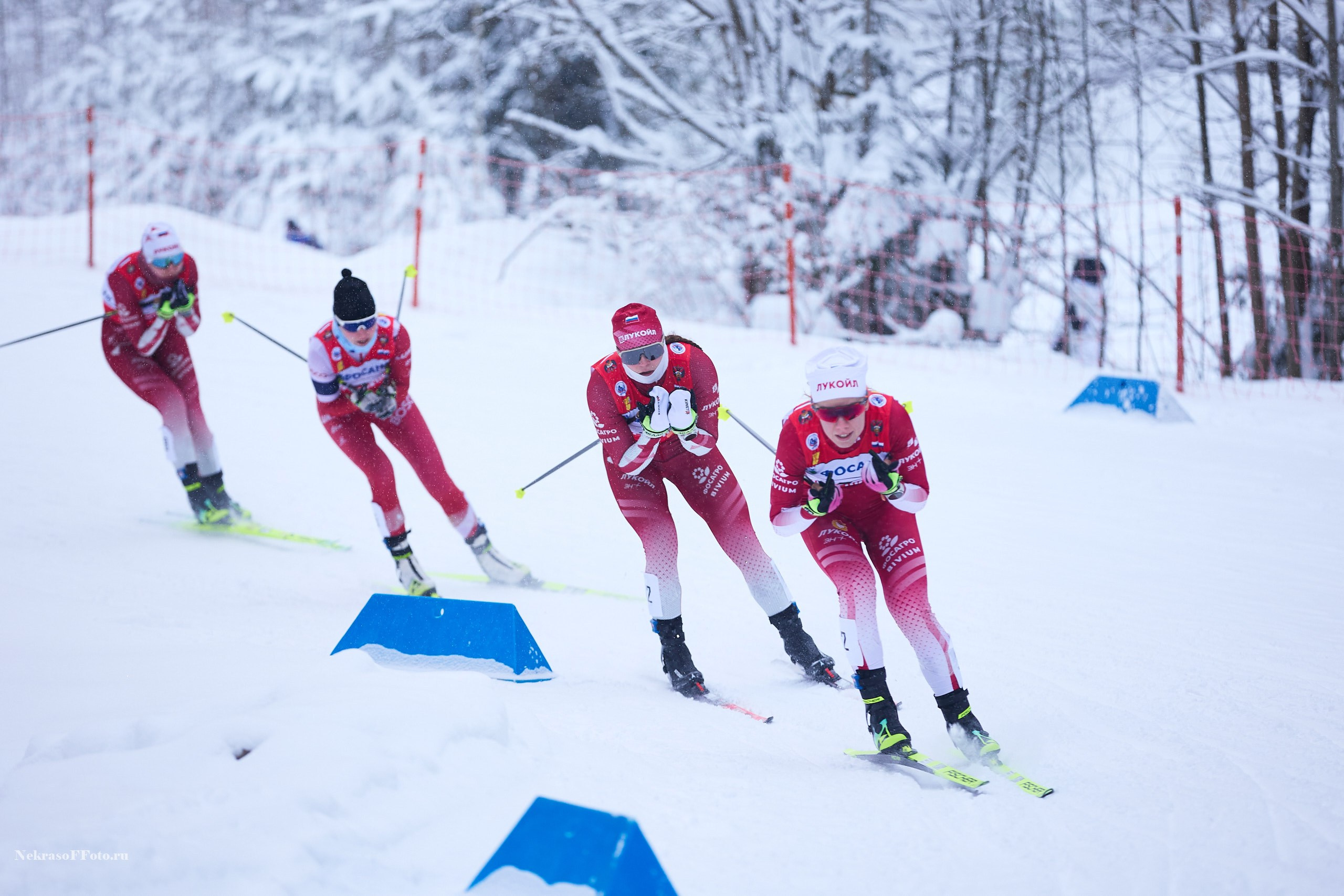 Кубок России по Лыжным гонкам. Спортивный фотограф Некрасов Денис