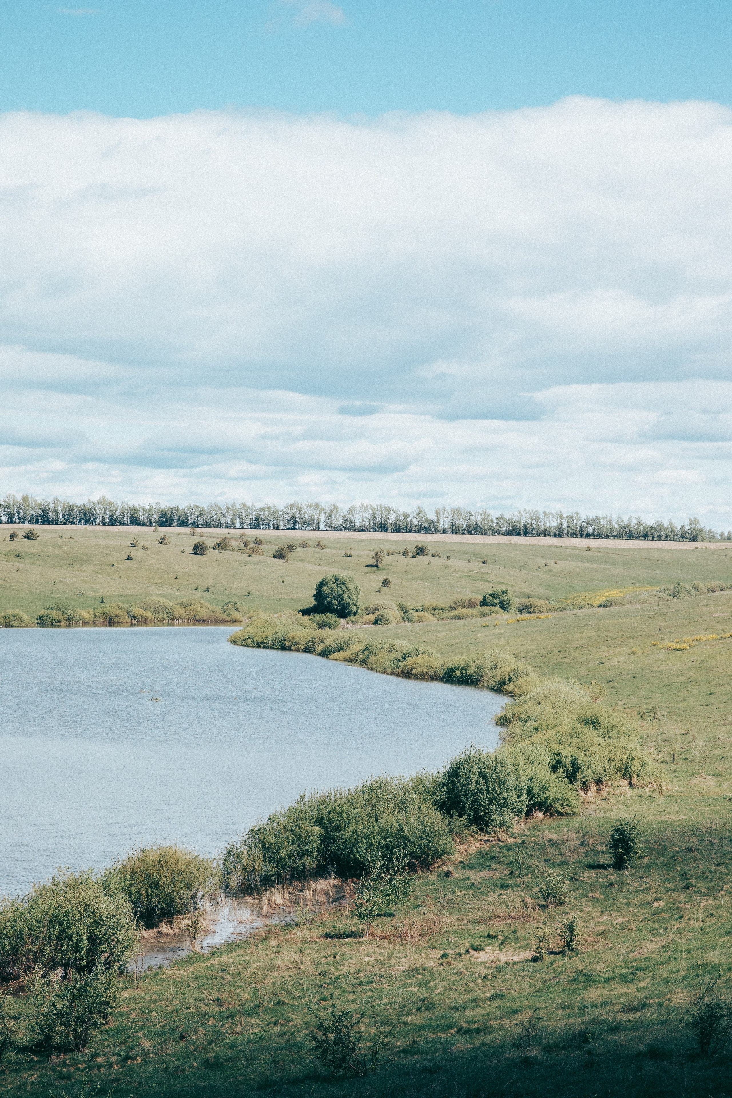 Кирилла. Фотограф в Москве Шаганова Нина