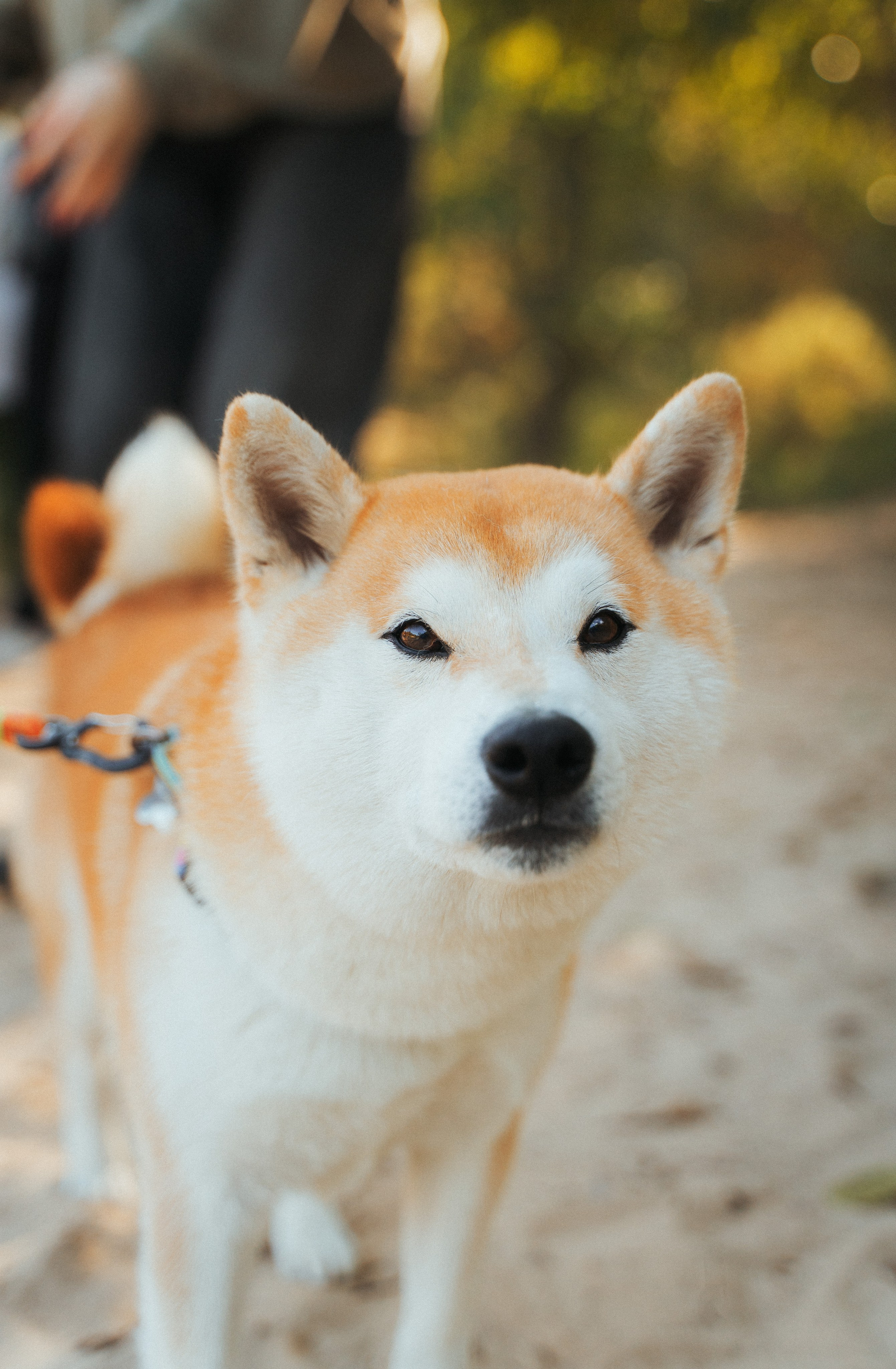 Good Friends Trip / команда локальных путешествий. Саша Копылов, фотограф в Казани