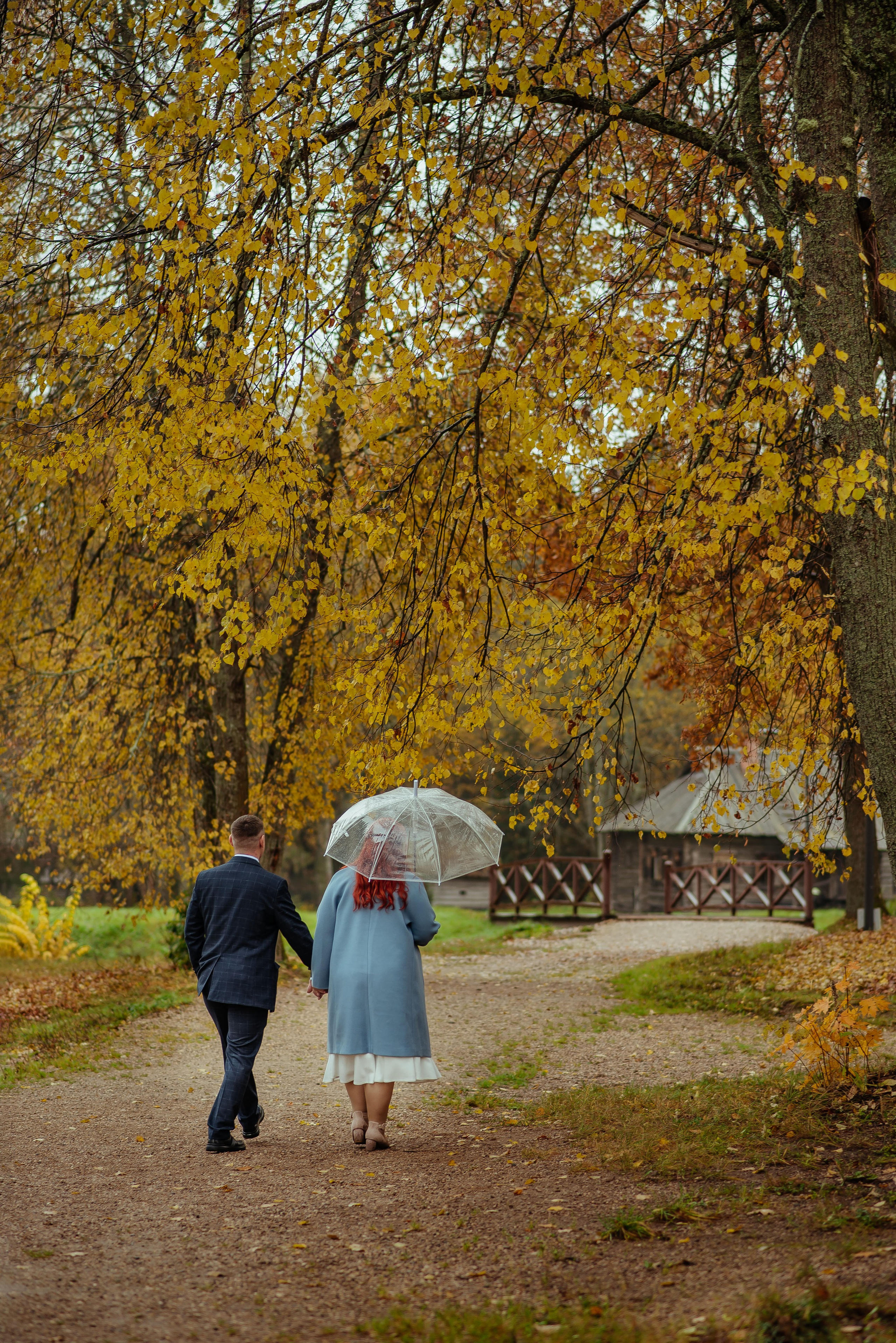 Дарья и Николай. Свадебный и портретный фотограф lifestyle