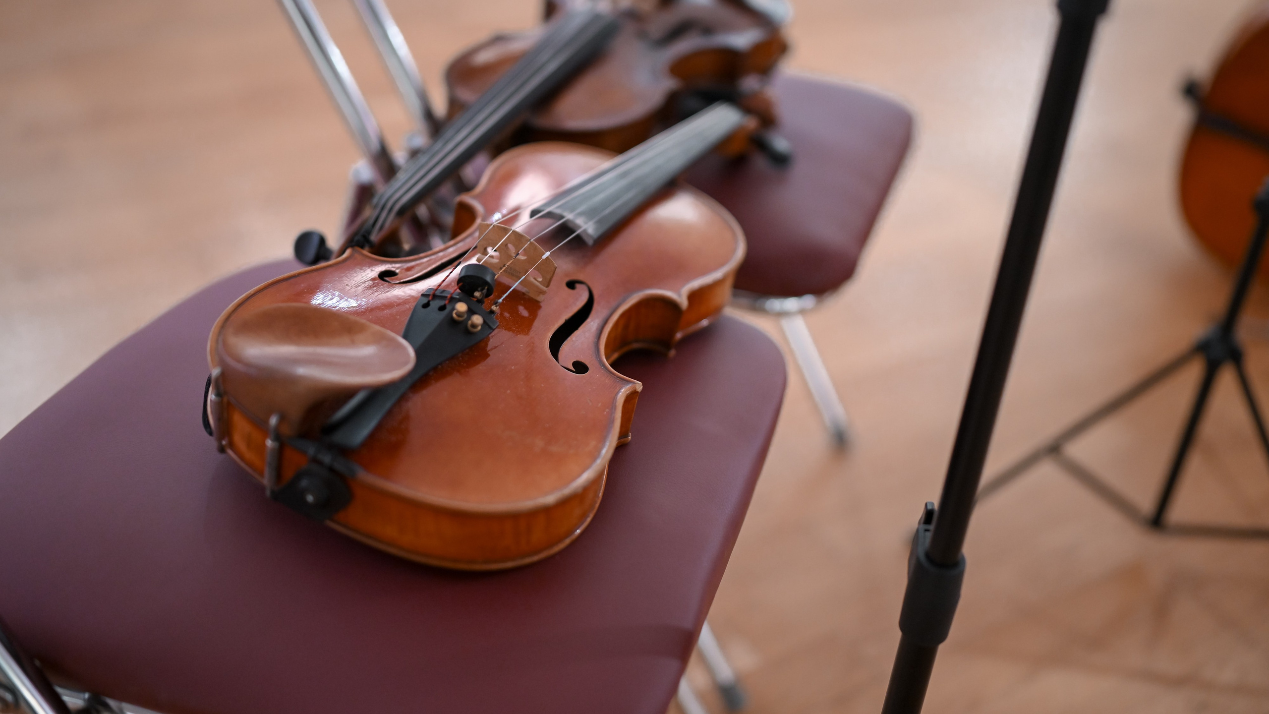 ТресвЪтлое солнце | Выставка фотографии. Портфолио