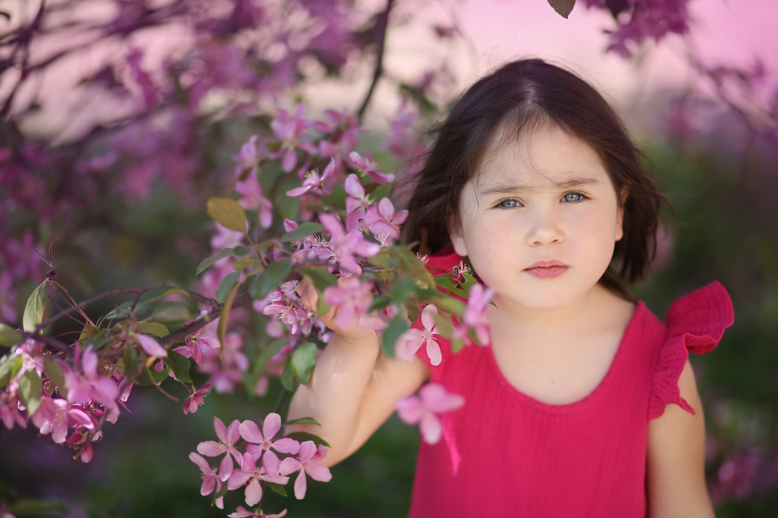 Фотопрогулка-яблони розовые. Семейный и детский фотограф в Москве и МО — Александра