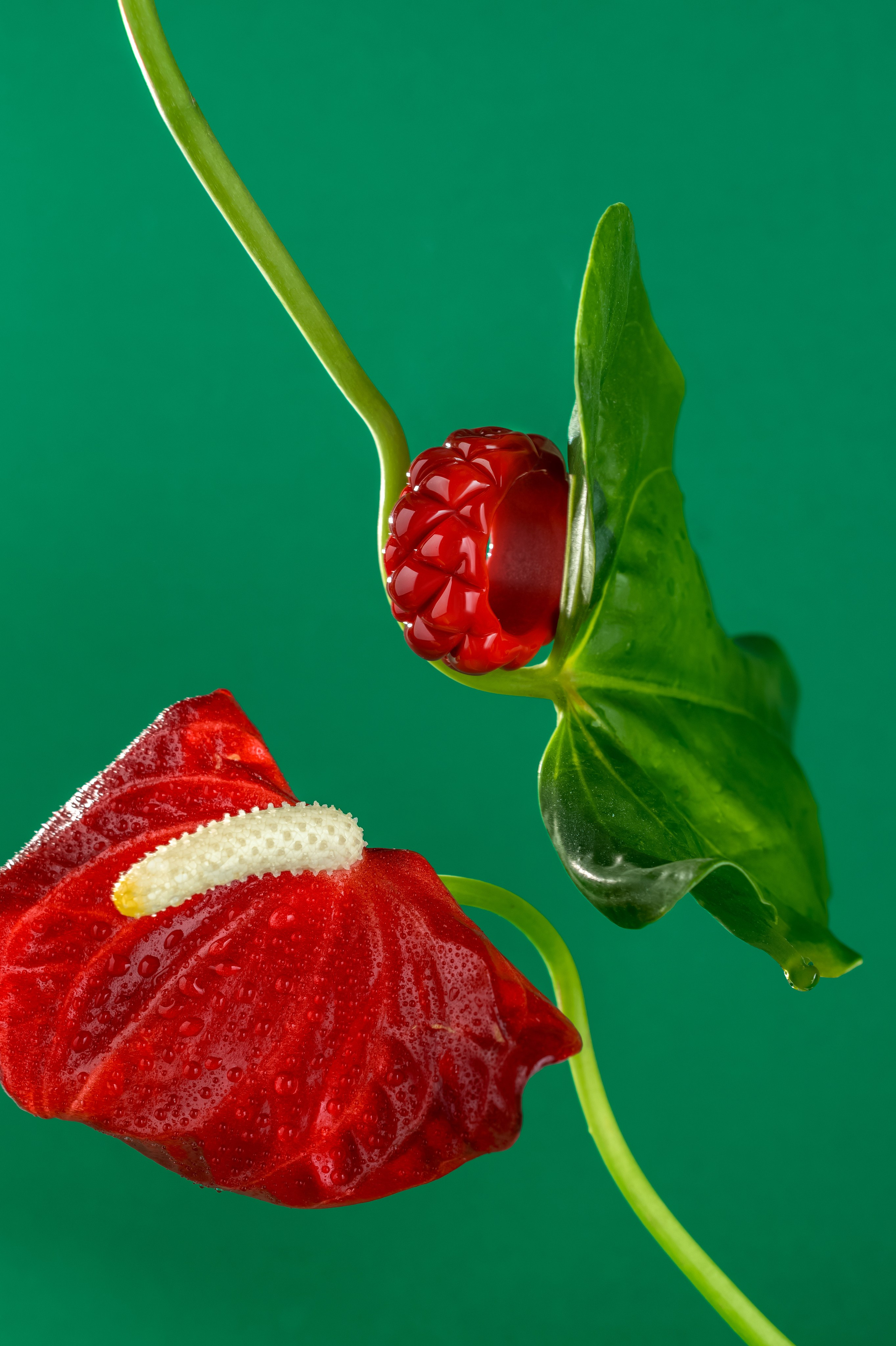 Предметный фотограф Иркутск, съемка предметная иркутск, рекламное фото иркутск, ювелирная съемка иркутск