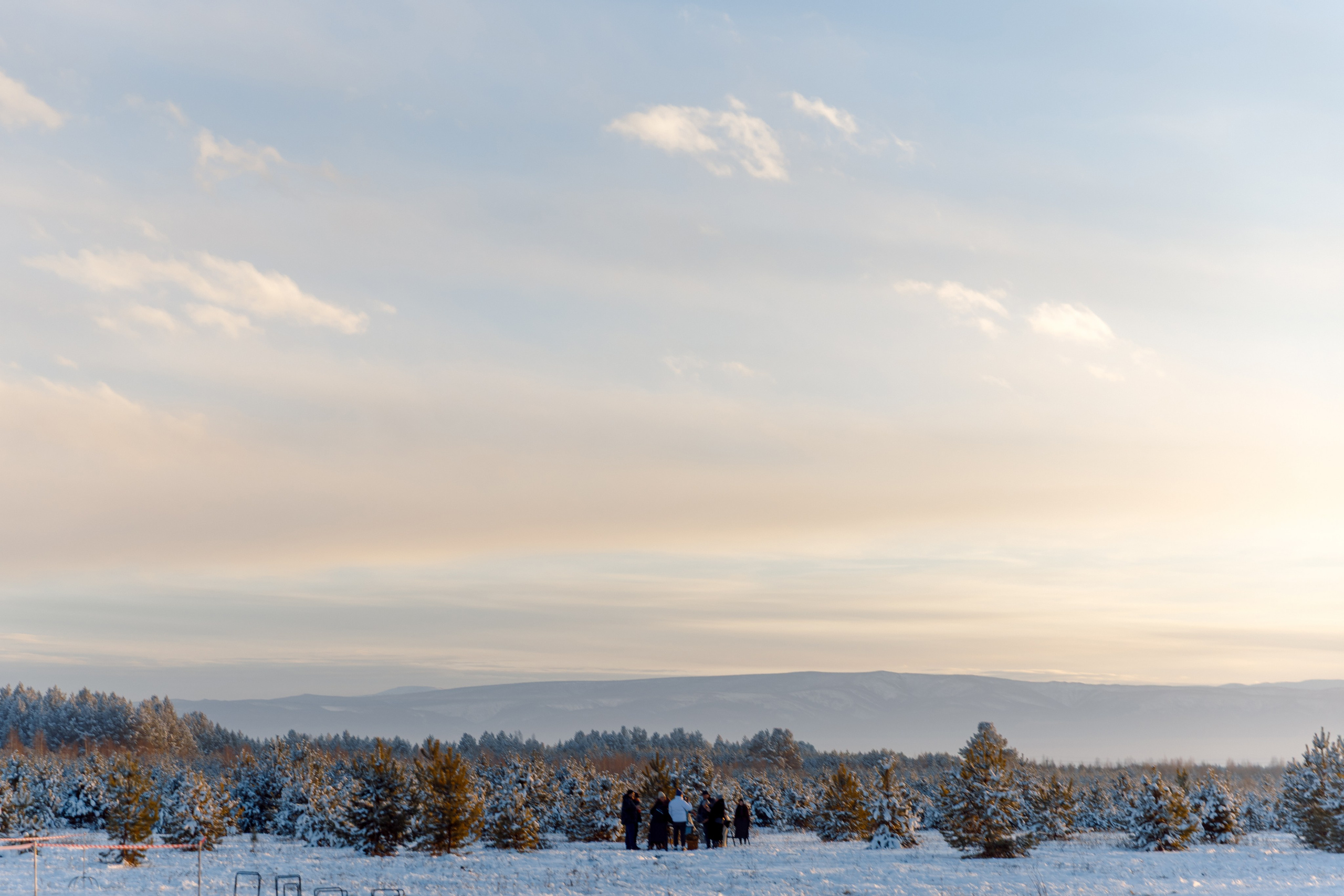 ЯБЛОКИ НА СНЕГУ. Свадебный фотограф Иркутск, репортажный фотограф Иркутск