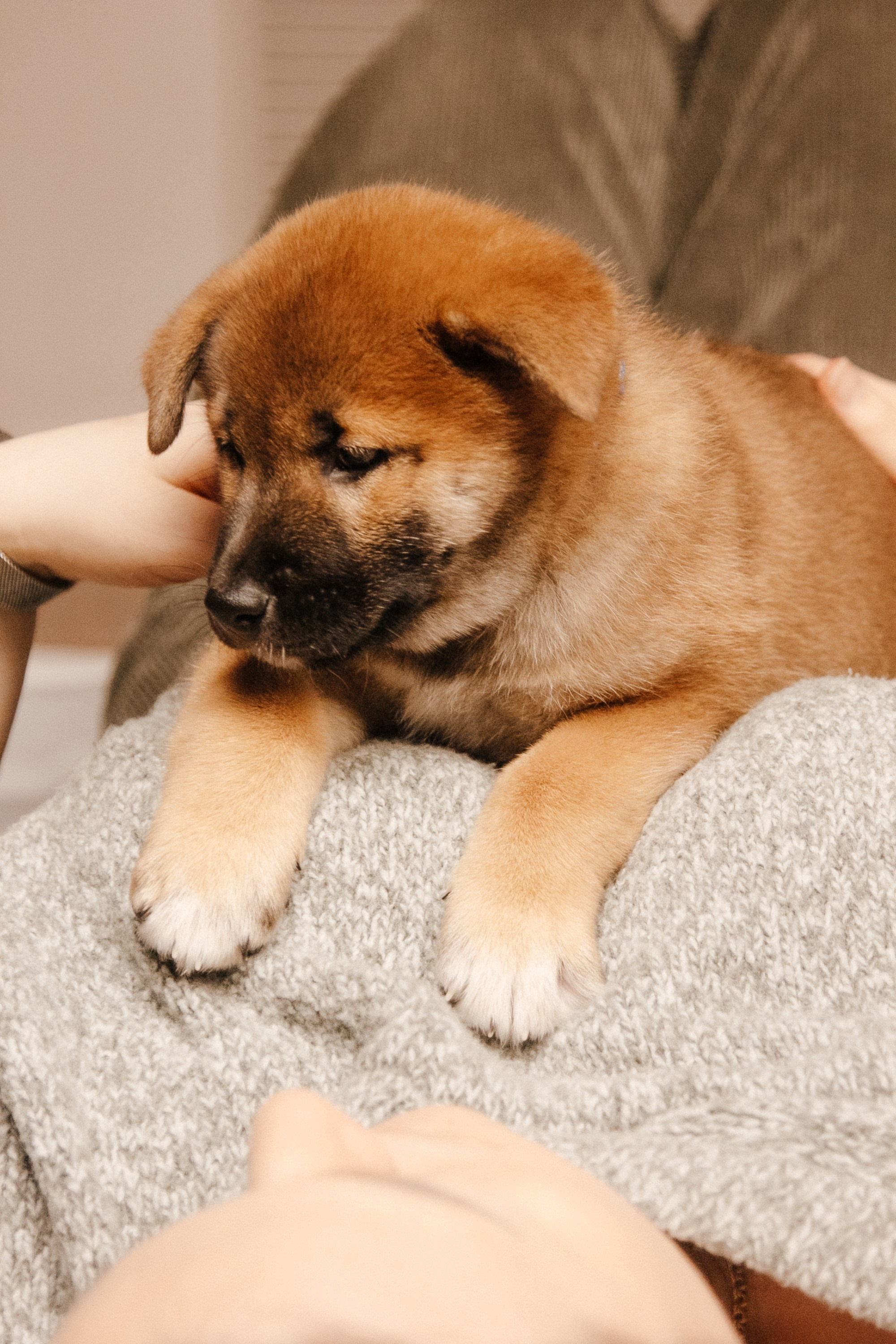 LOVE. Семейный фотограф Казань Никита Федин