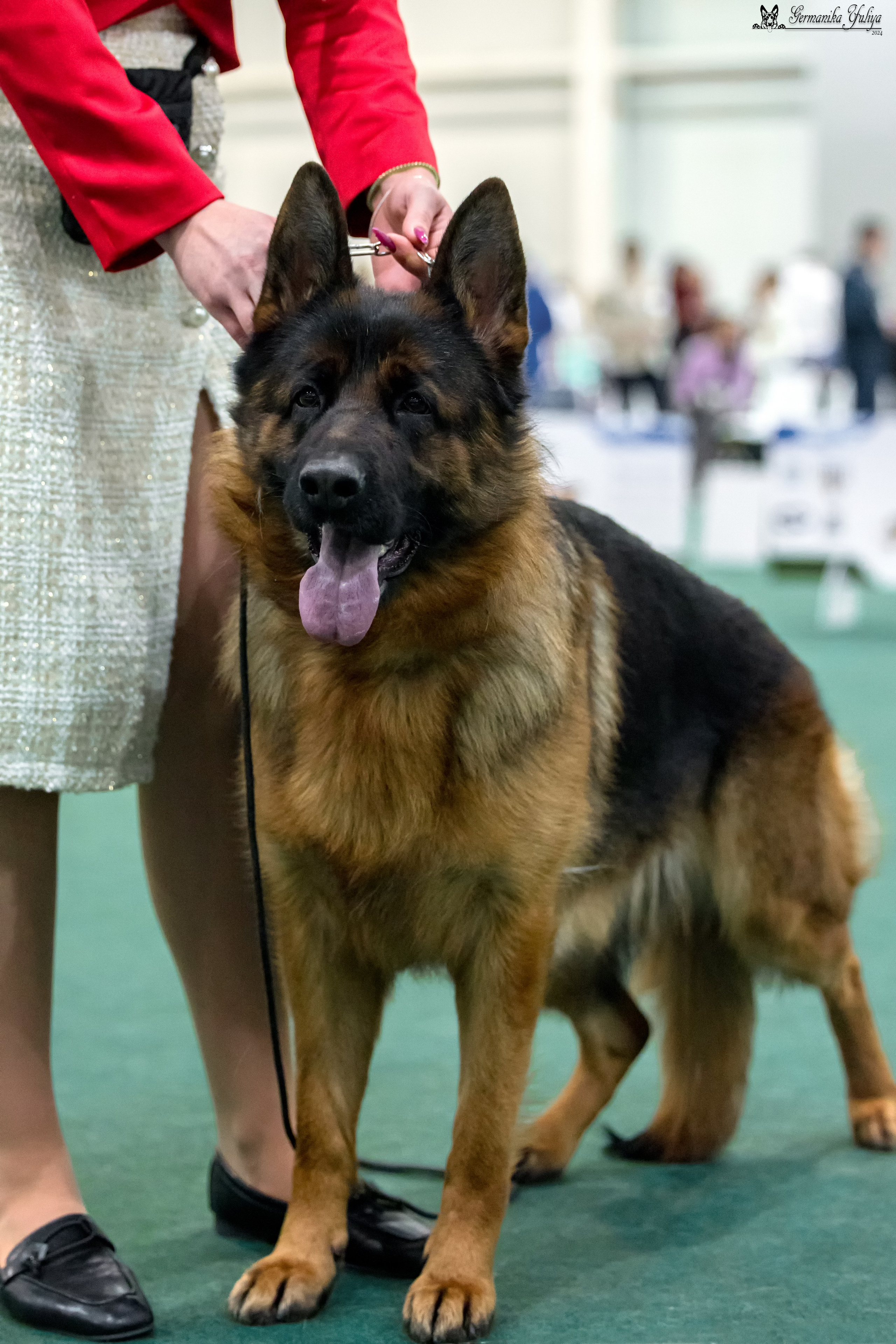 Сабанеевка 26-27.01.2024. Фотограф-анималист Юлия Германика