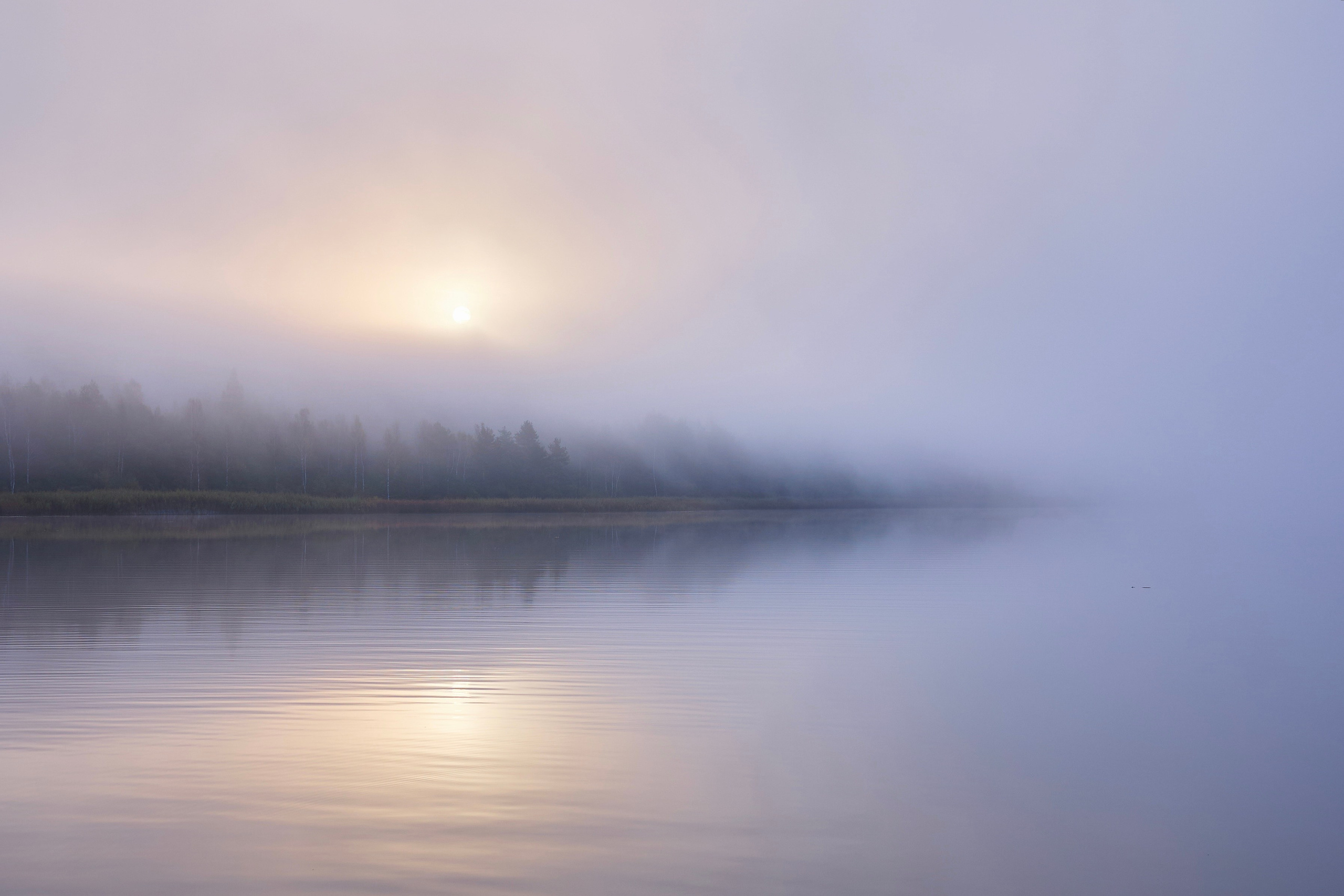 Пейзаж. Фотограф Люся Воробьева
