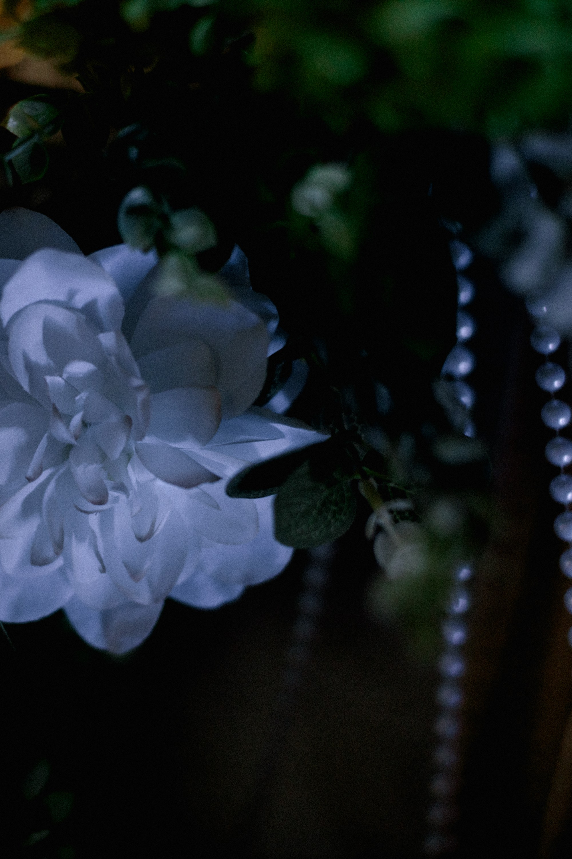 Вераника и Григорий. Репортажный и портретный фотограф во Владимире Сергей Кравцов