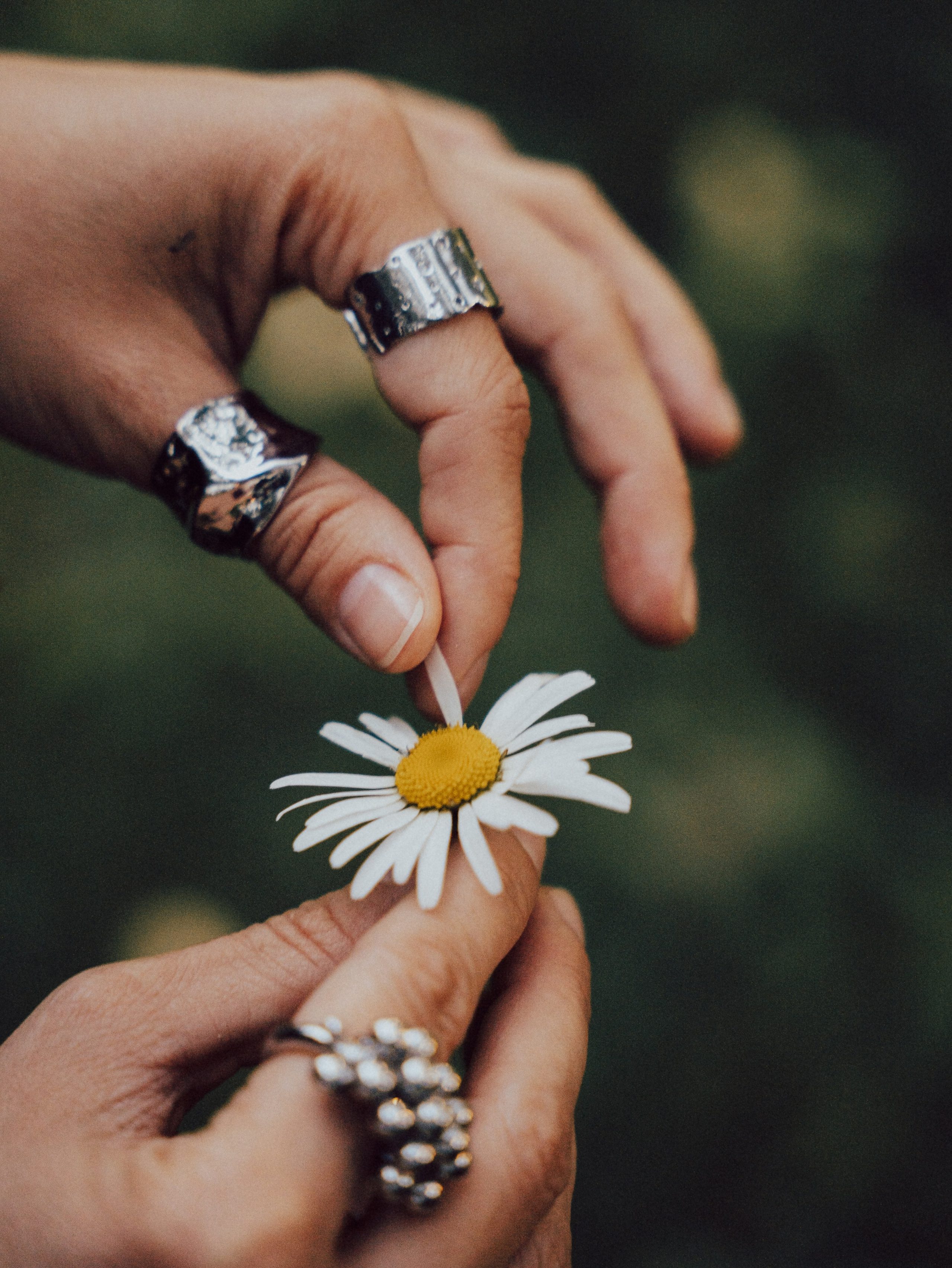 Екатерина. Https://andreevann.ru