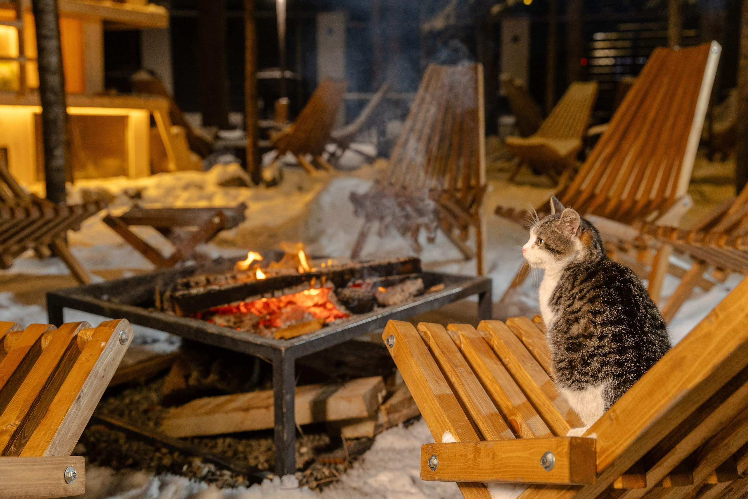 Интерьерная съемка. Фотограф Николай Петрушкин | Ставрополь, Москва