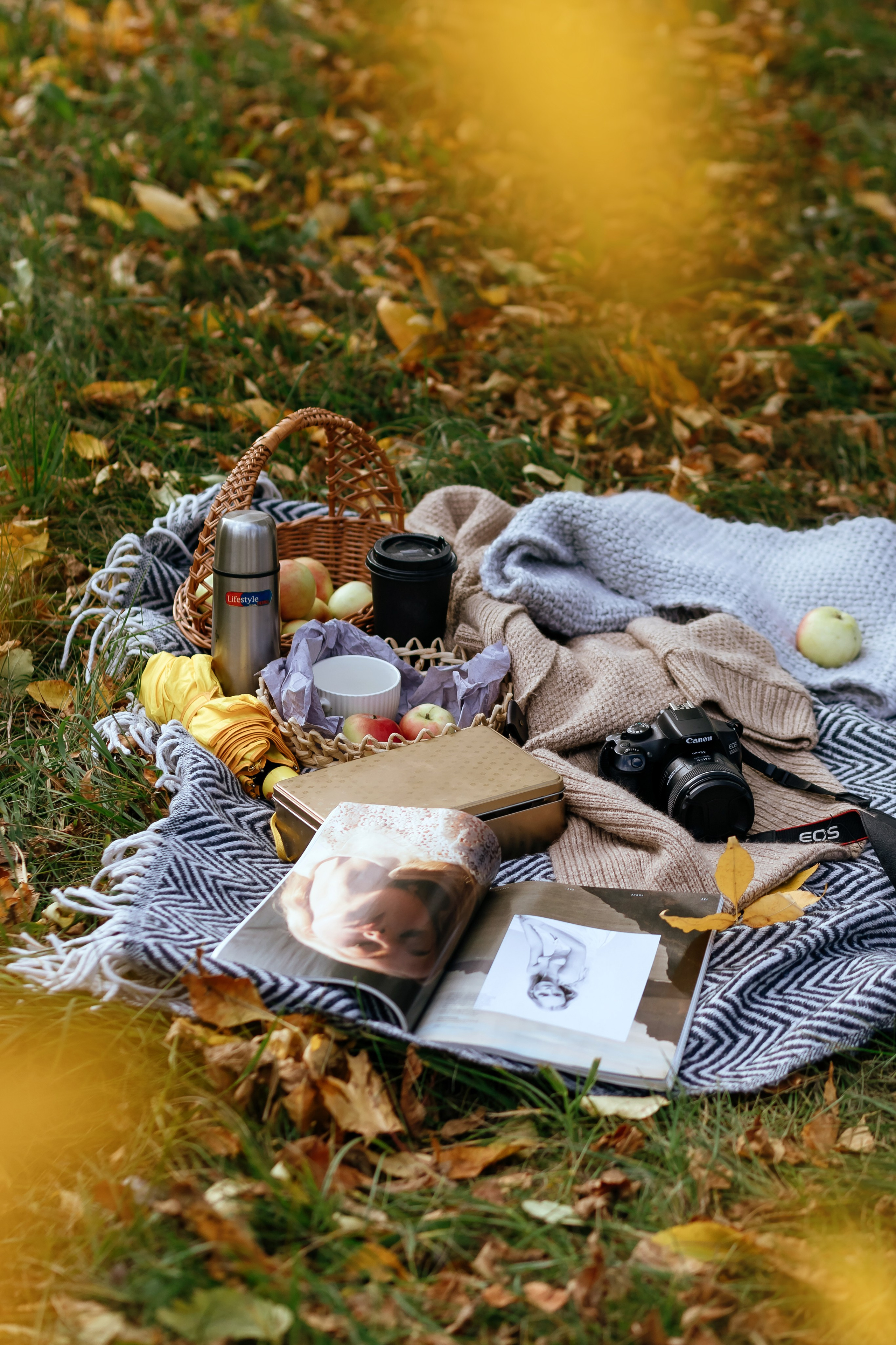 Осенний пикник. Семейный фотограф в Минске Приболовец Светлана