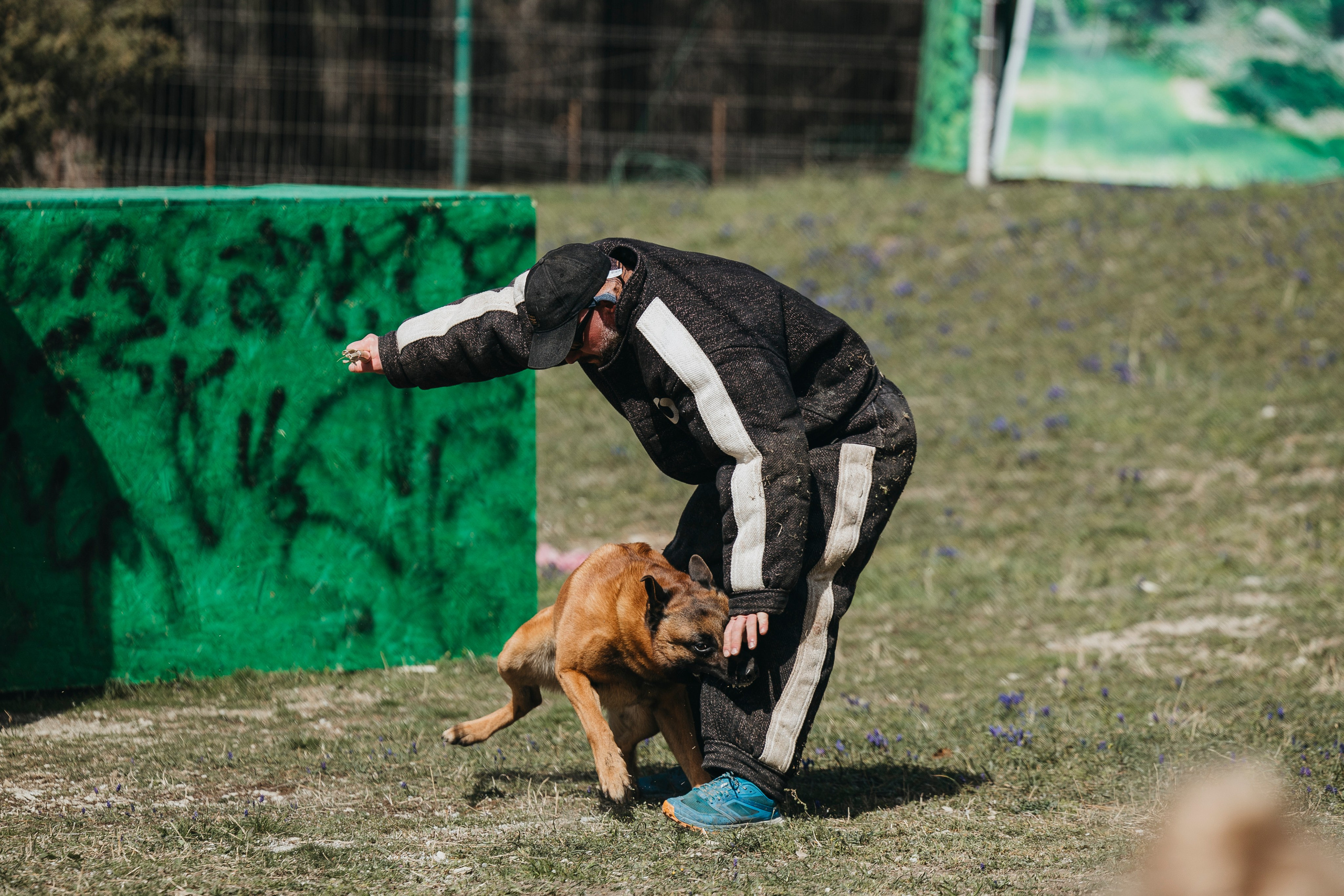 Геленджик Мондьоринг. Фотограф-анималист Анна Маринич