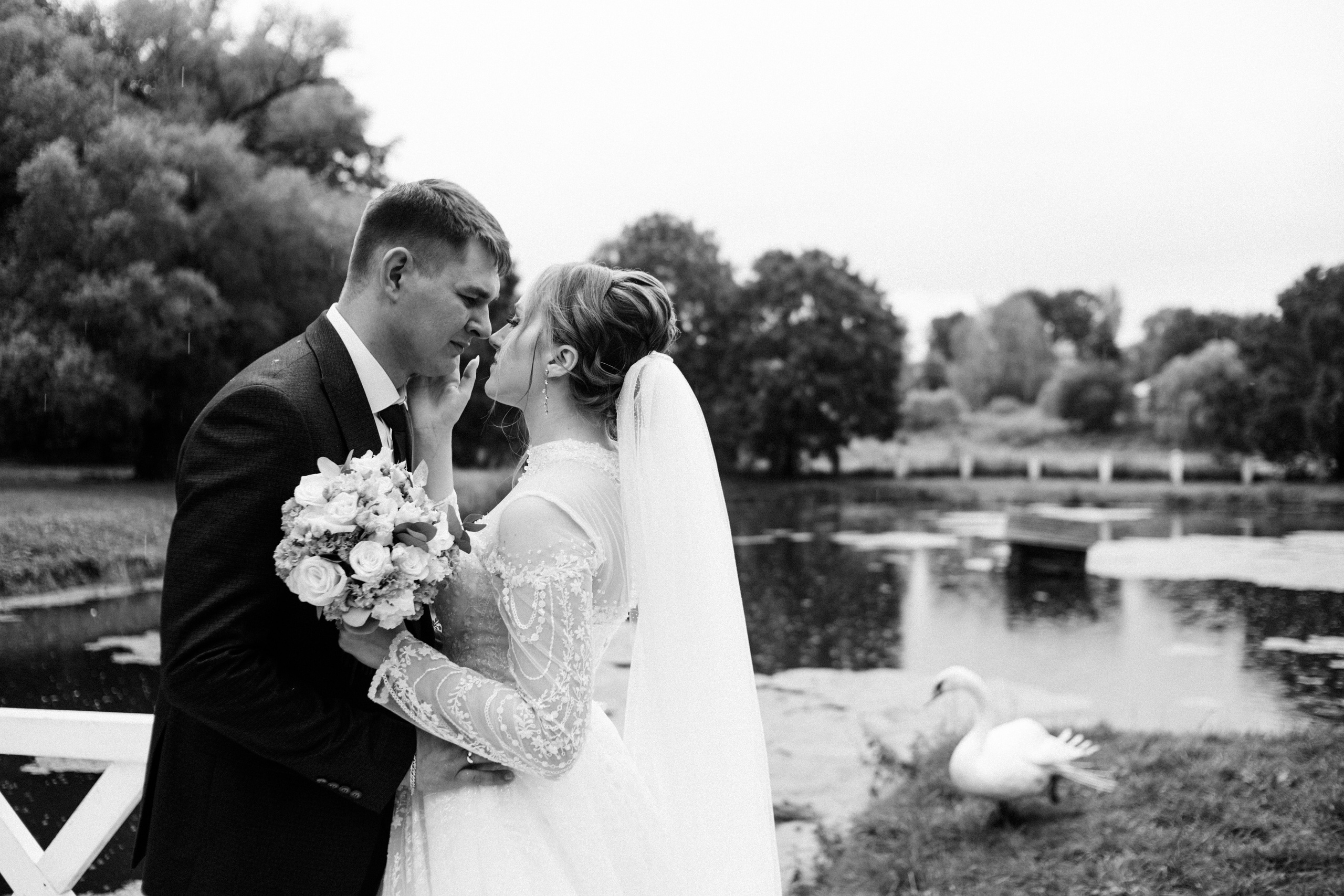 12/08/23. Фотограф Брянск