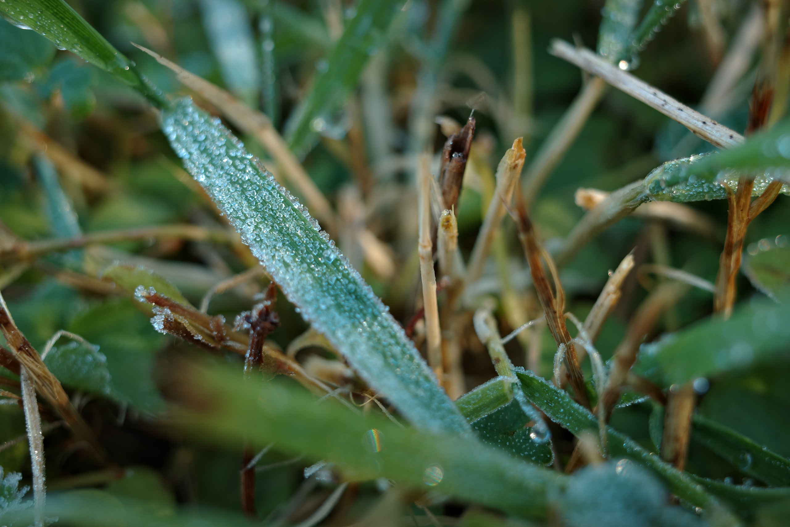 Галерея Ricoh GR3 HDF. Константин Устинов — фотограф