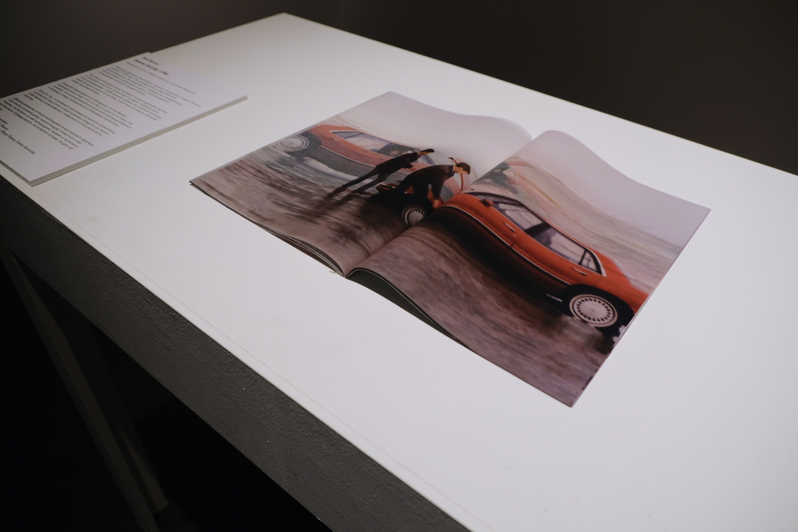 BuickleSabre1998 [книга/work in progress]. Аня белка — художница и фотограф