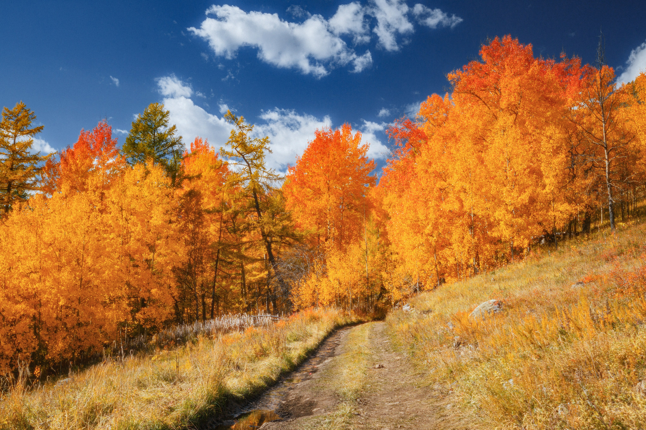 Бурятия. Владимир Смирнов | Интерьер Индастриал Репортаж | Иркутск