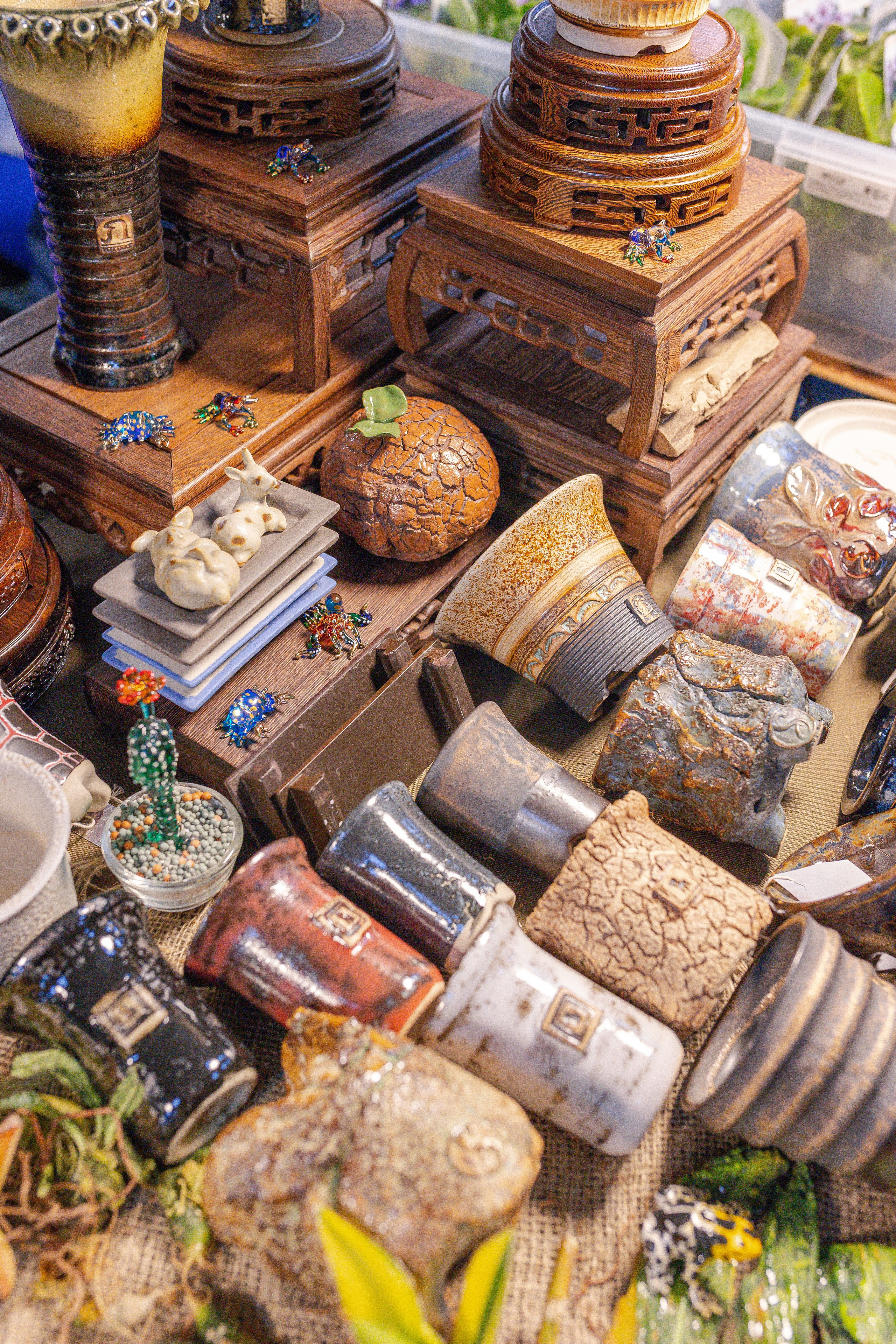 Орхидиум 12.2025. Александра Куликова фотограф, Москва