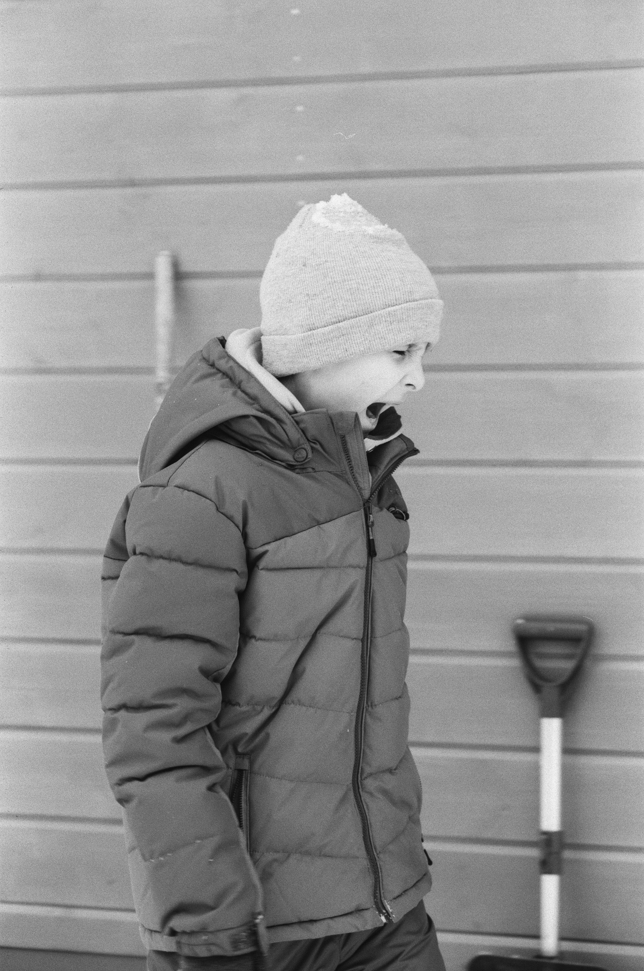 Contax N1 / Carl Zeiss Makro Sonnar 100 mm f/2.8 / Давыдовское