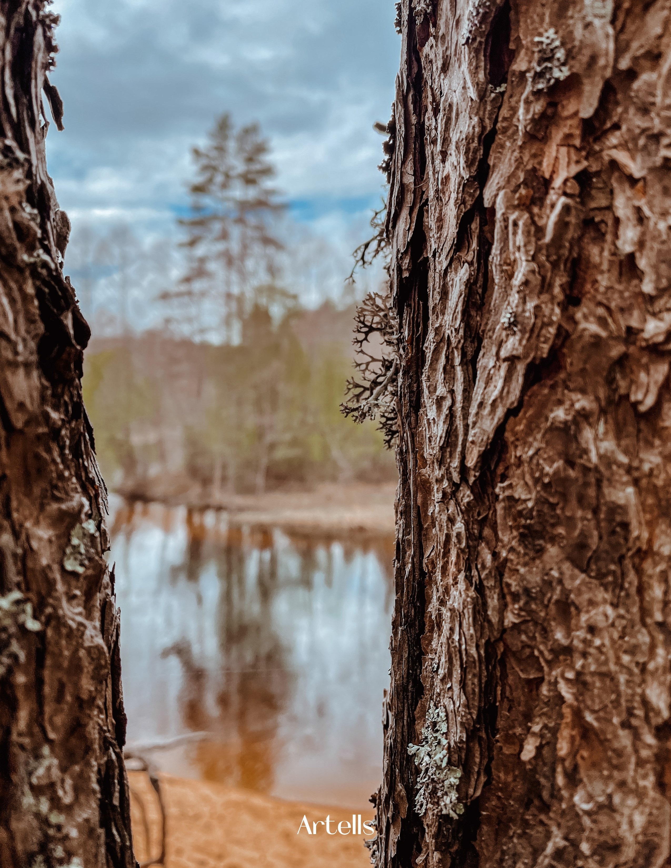 Фотограф Олеся Шипихина г. Москва