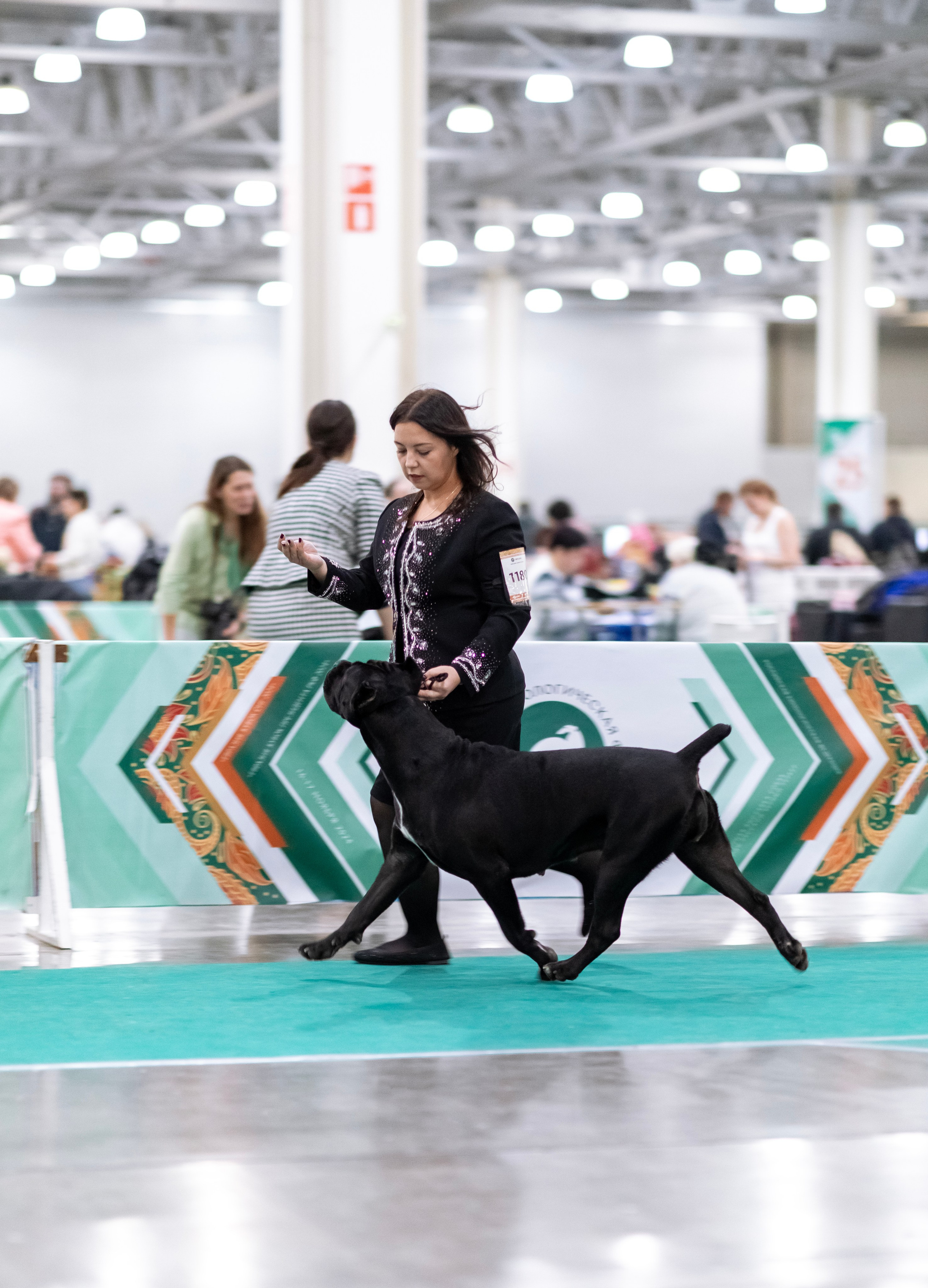 Евразия. Фотограф — анималист Татьяна Ли