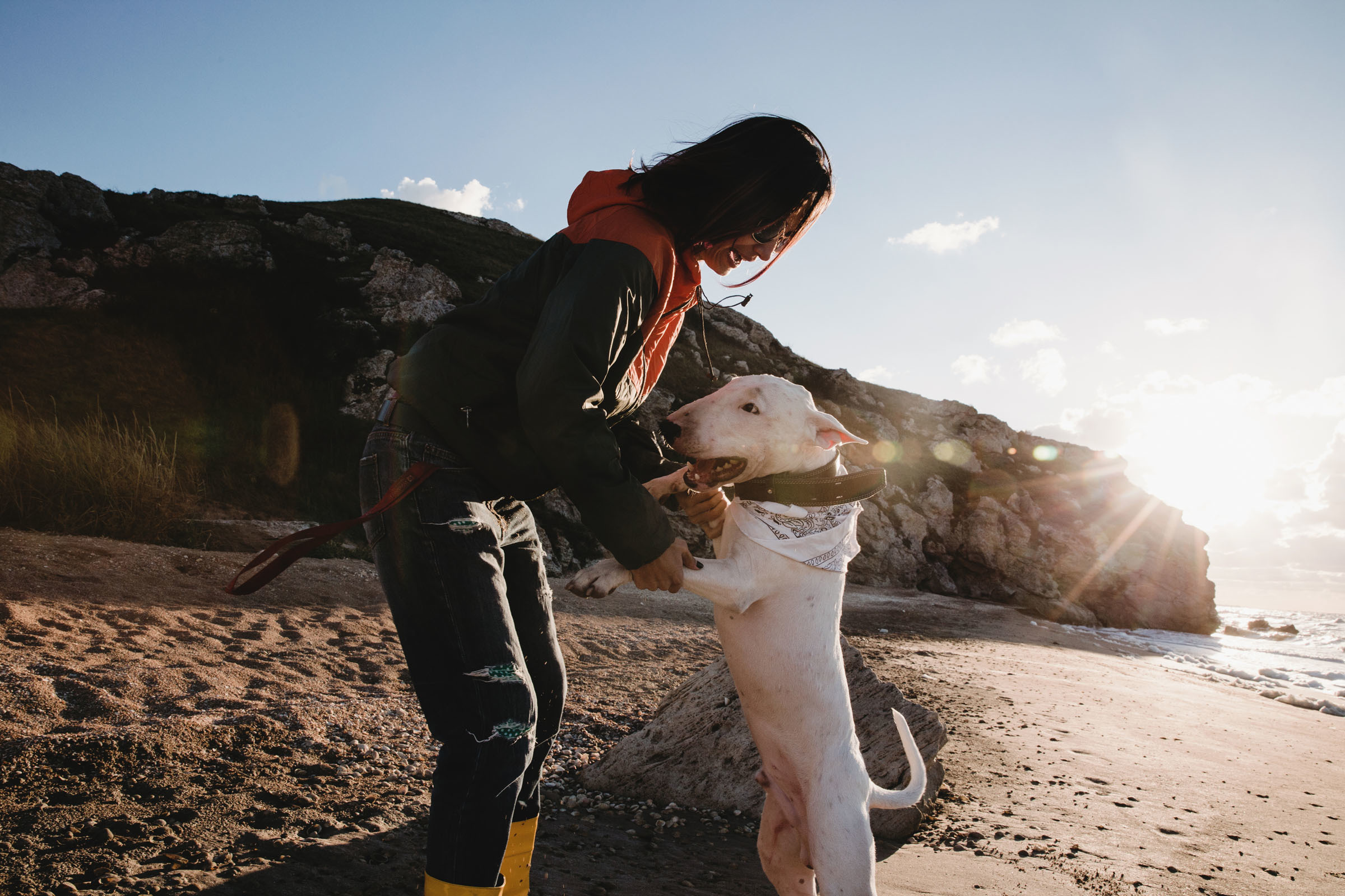 Пёс //Дэнис&Александра. Фотограф Алутера Ирина